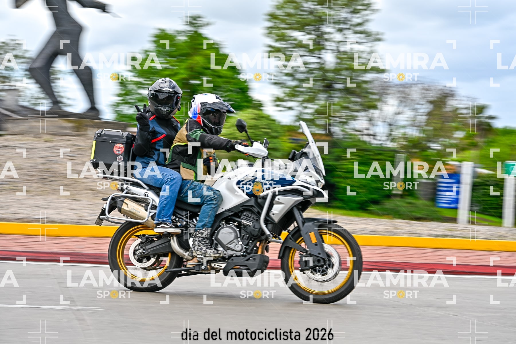 rotonda disa — BCD5373