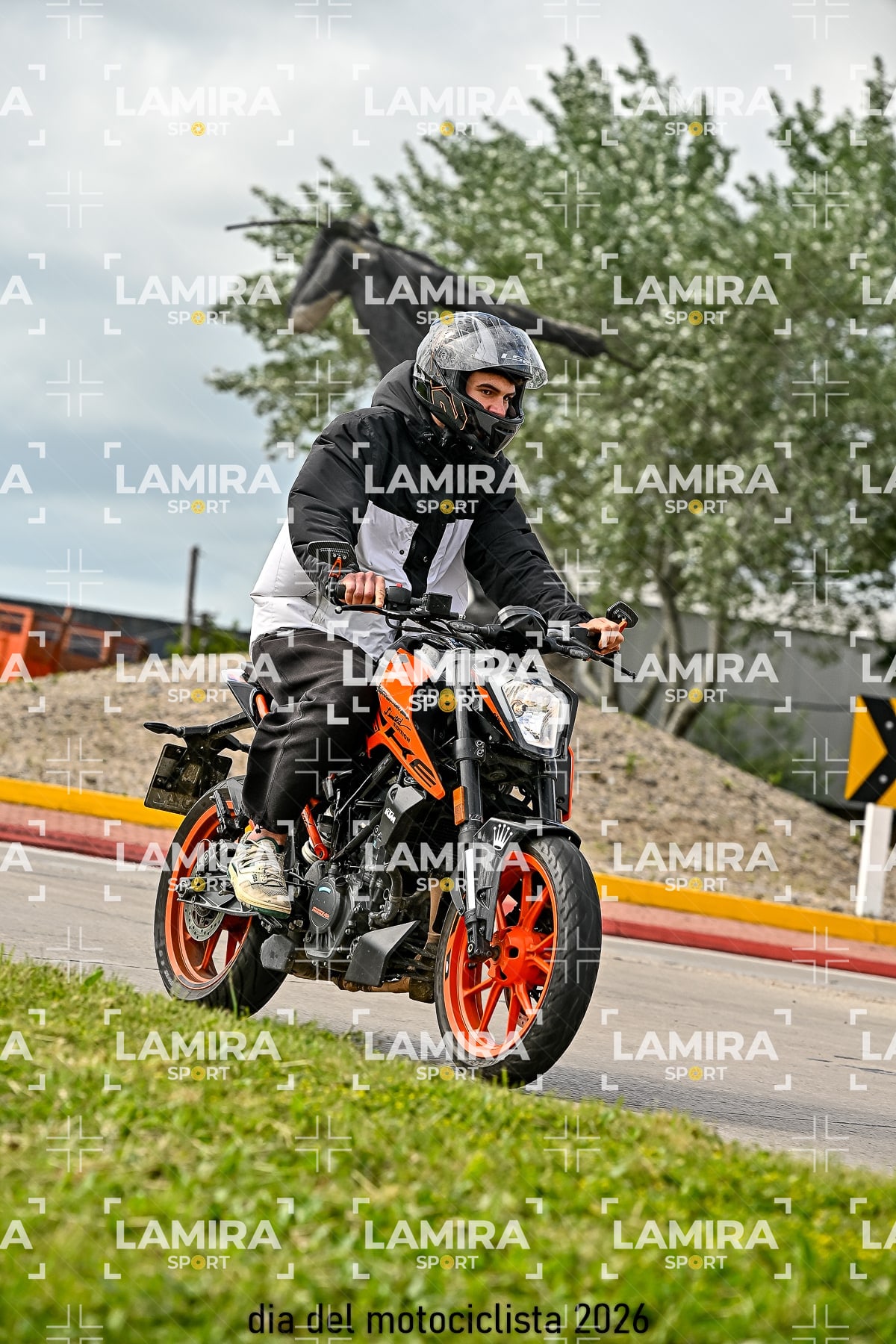 rotonda disa — BCD7988