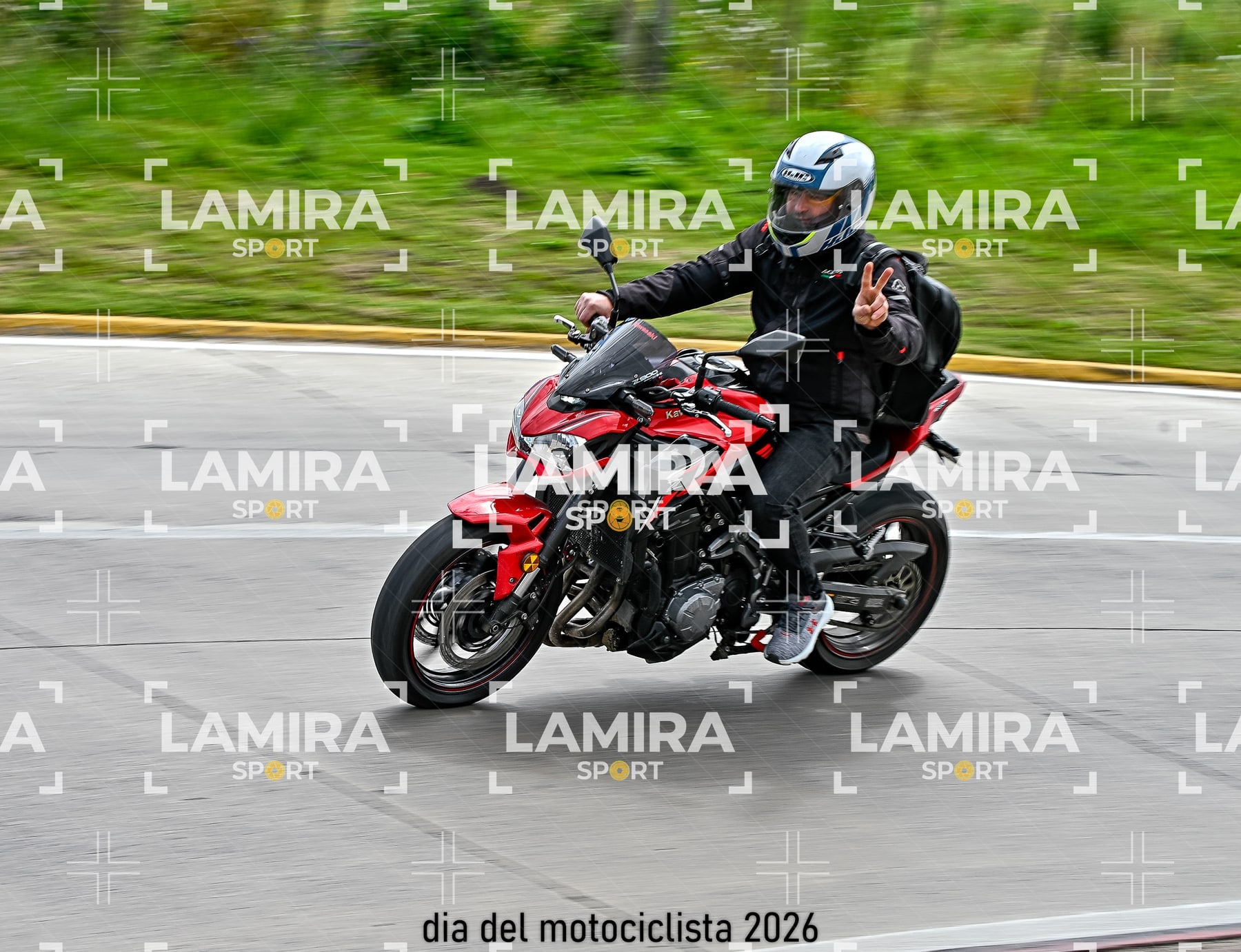 rotonda disa — BCD6254