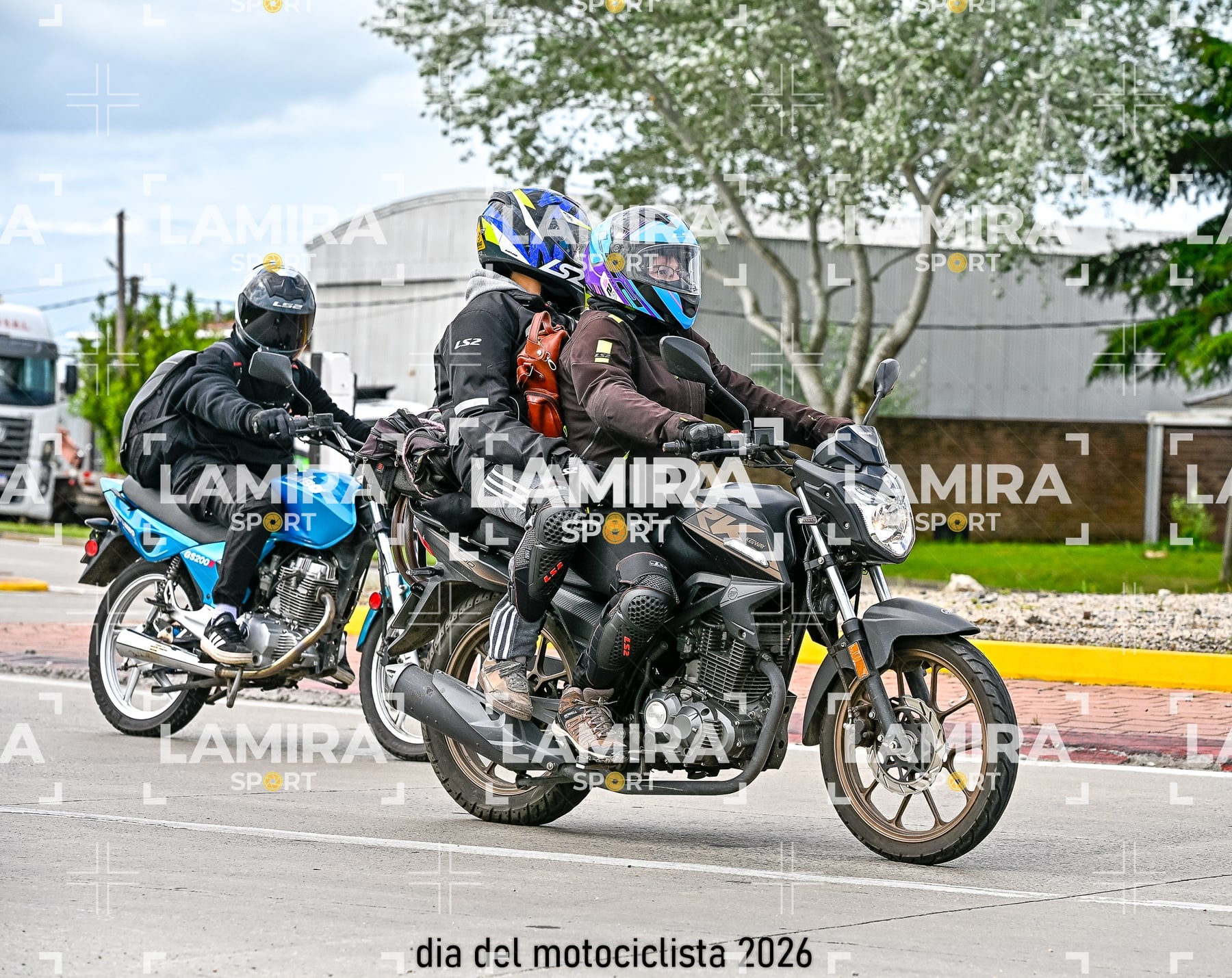 rotonda disa — BCD7771