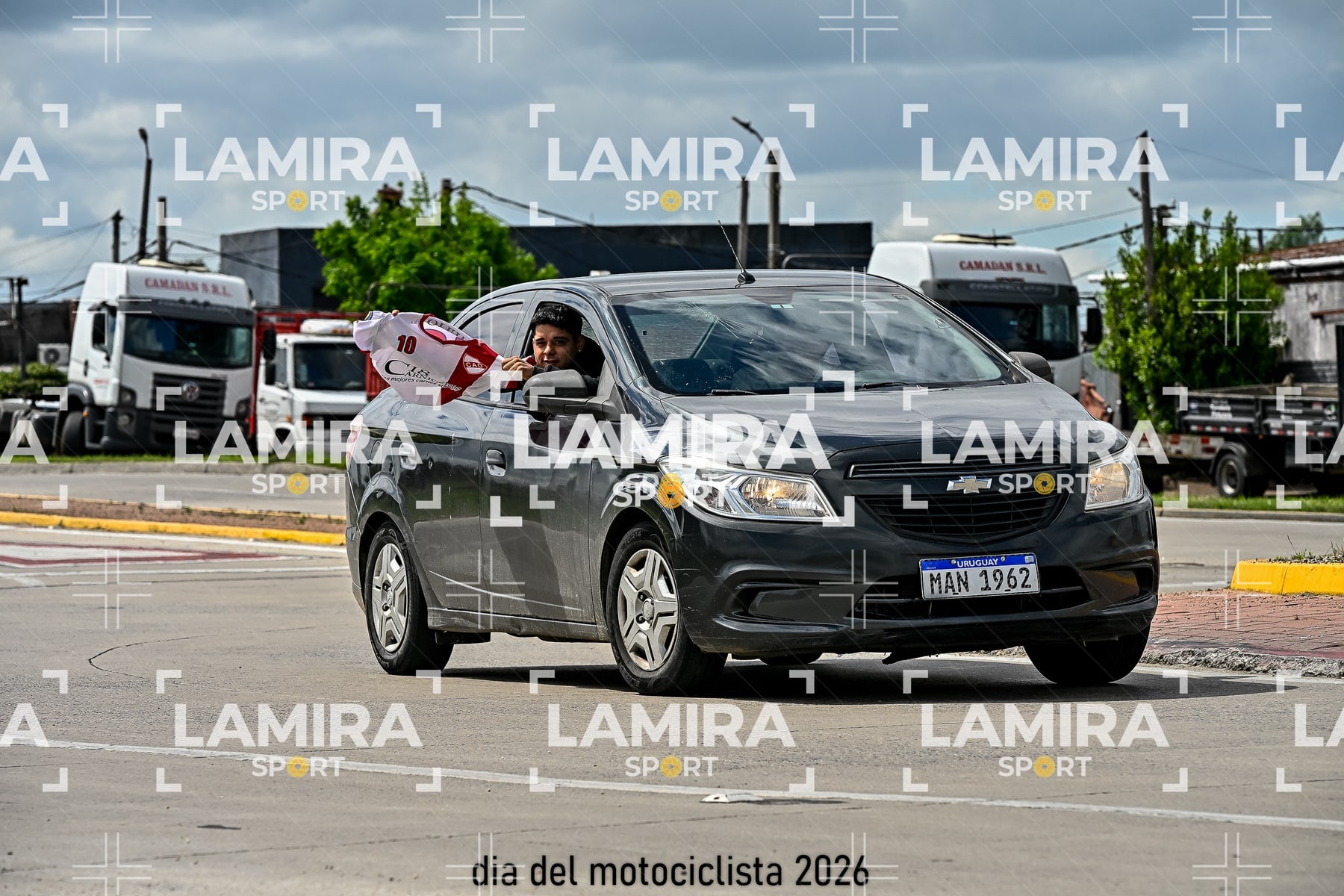 rotonda disa — BCD6536