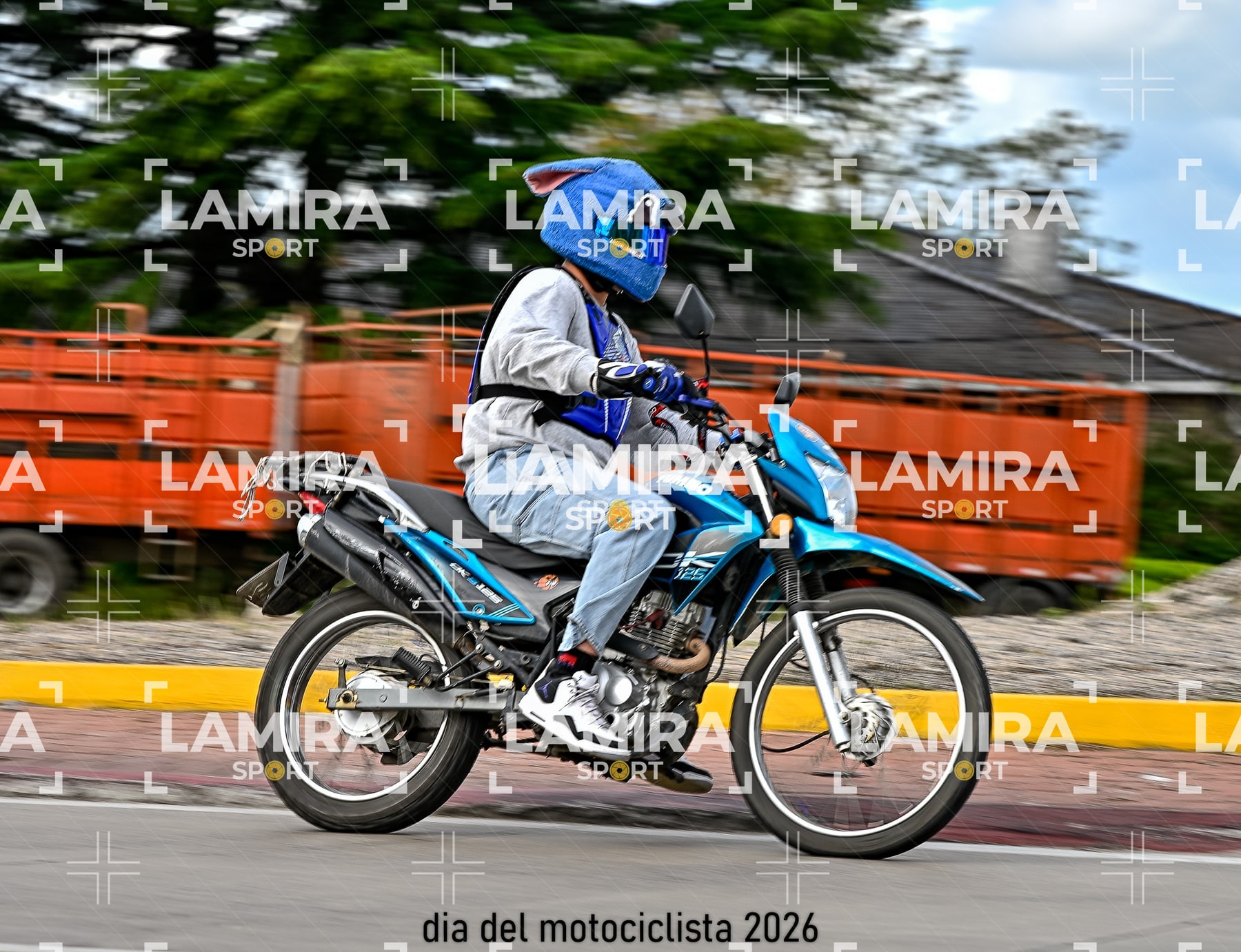rotonda disa — BCD8467