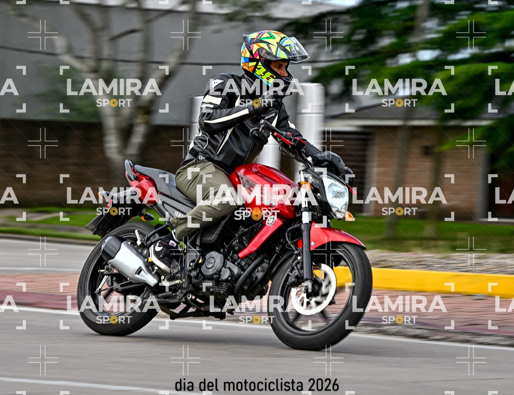 rotonda disa — BCD8357