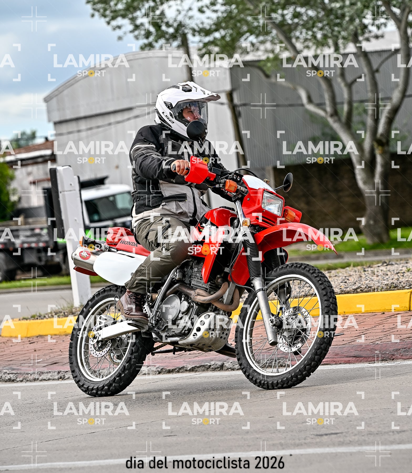 rotonda disa — BCD6414