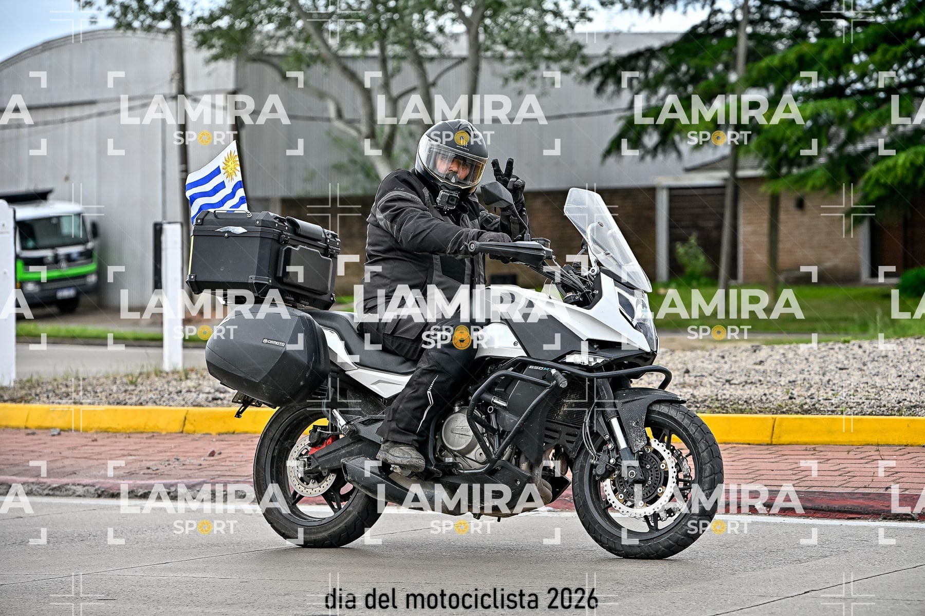 rotonda disa — BCD4986