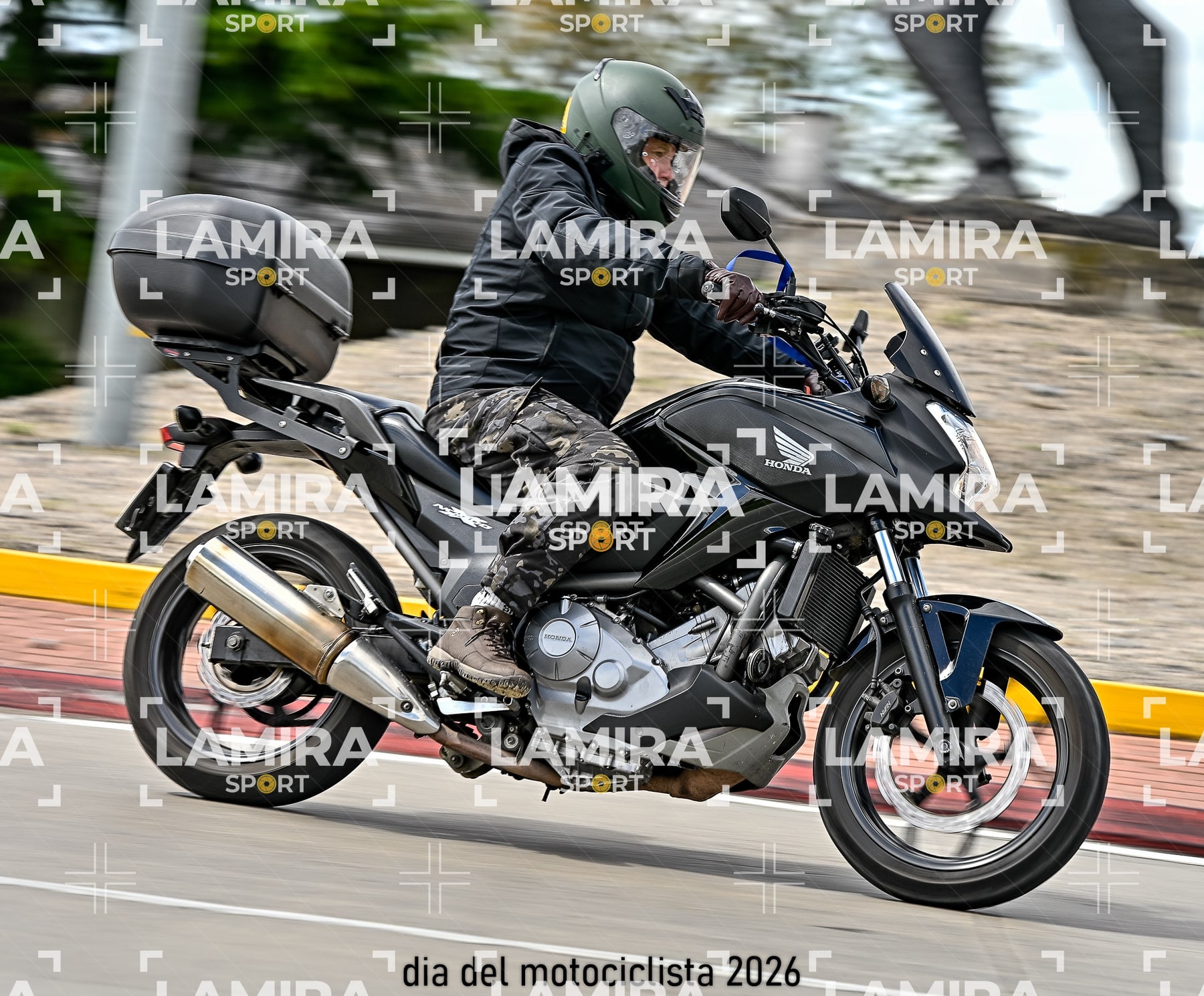 rotonda disa — BCD6598