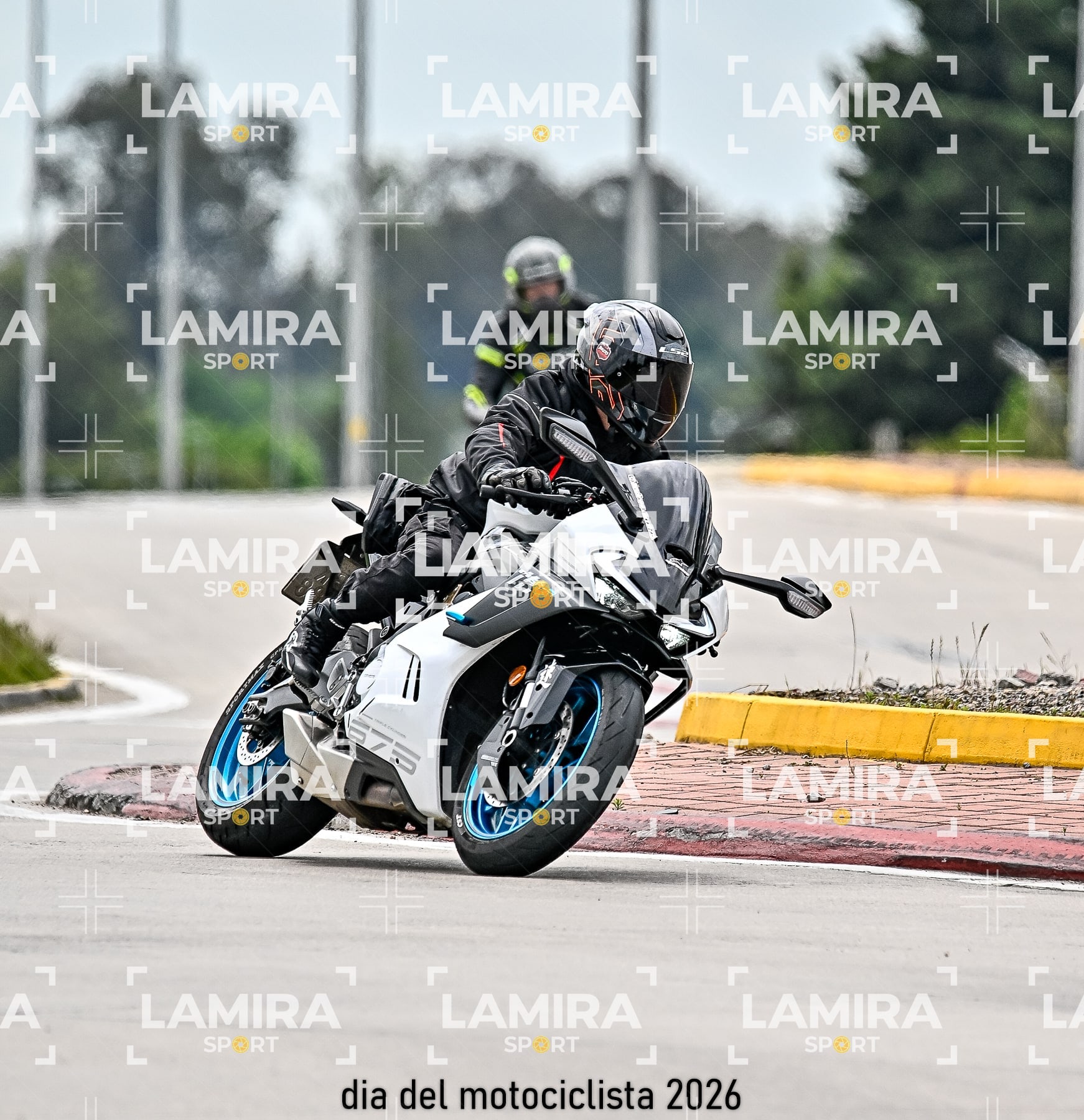 rotonda disa — BCD4792