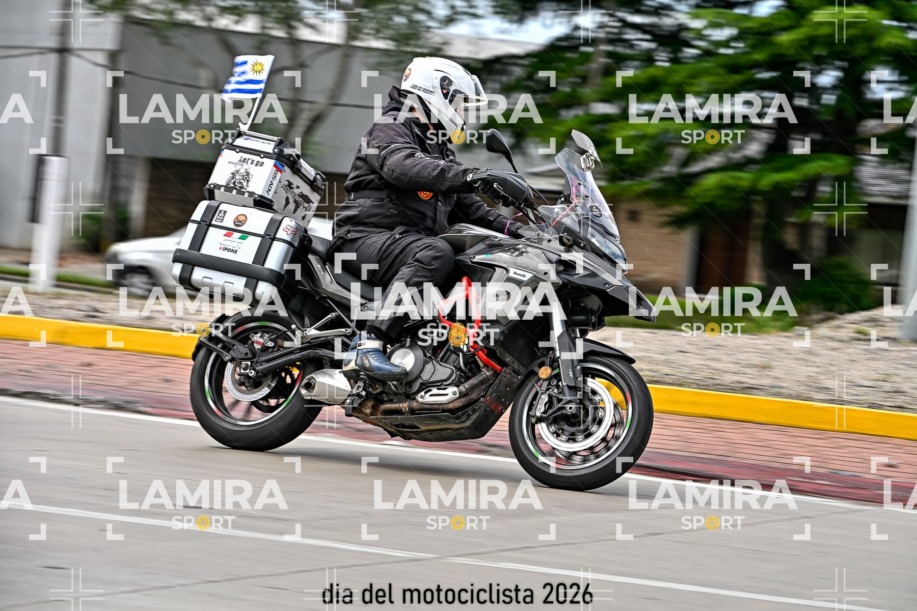 rotonda disa — BCD5262