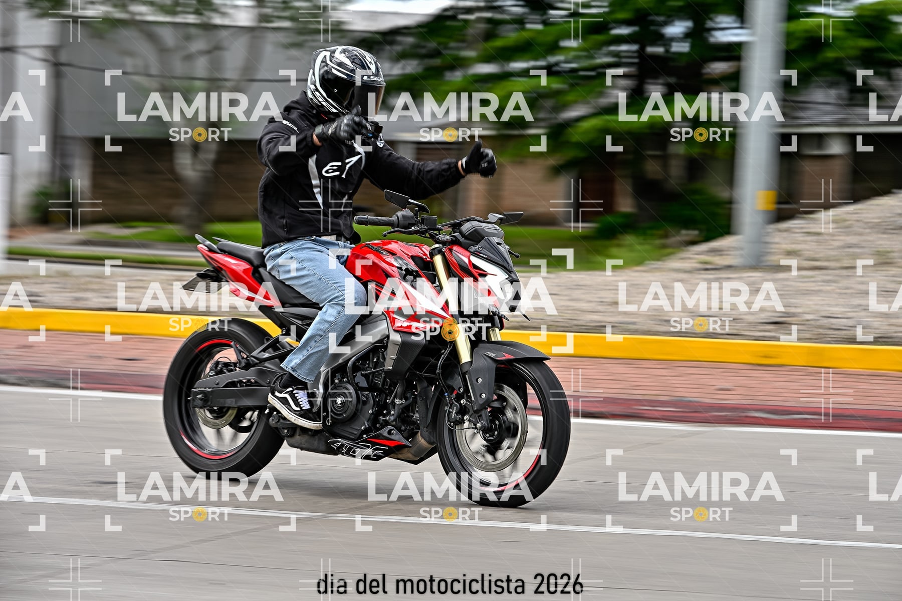 rotonda disa — BCD5069