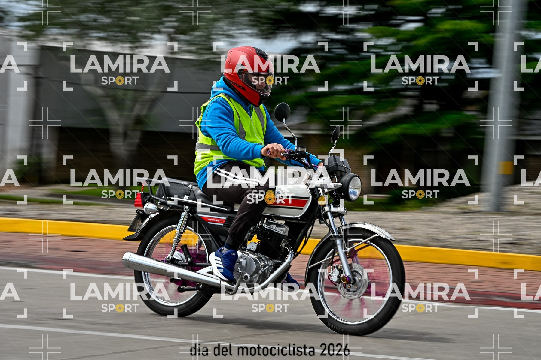 rotonda disa — BCD6365