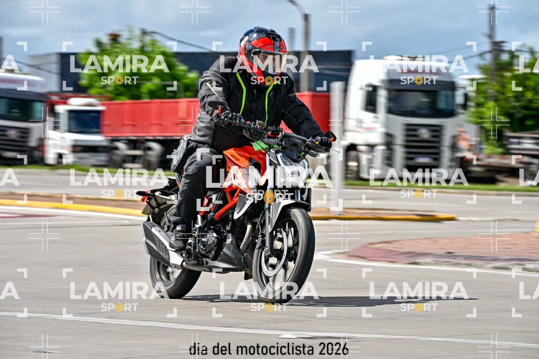rotonda disa — BCD6848