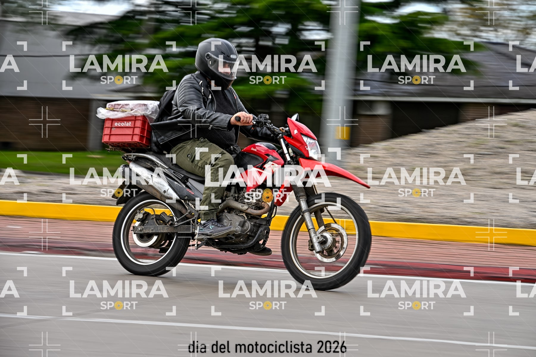 rotonda disa — BCD5443