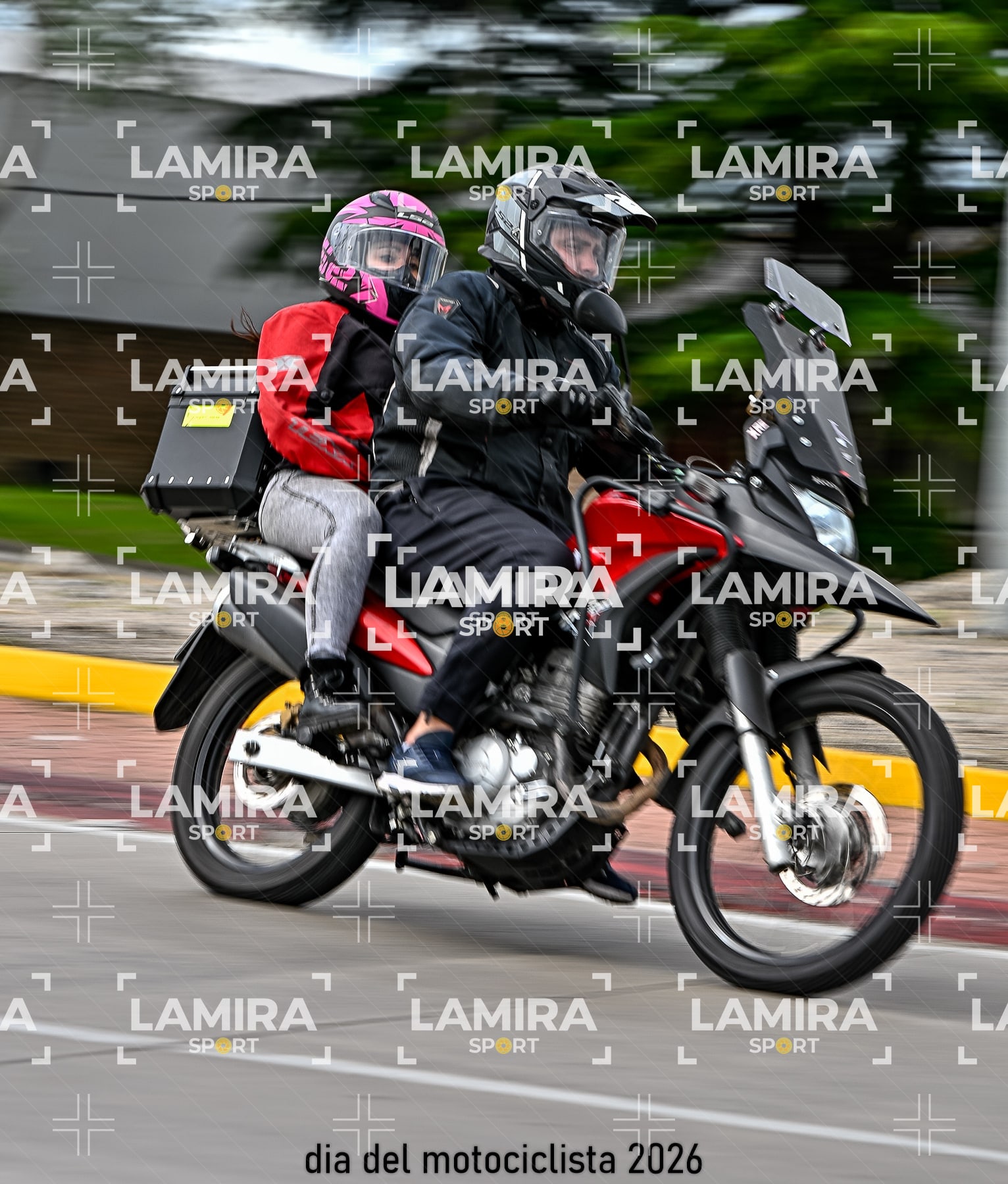 rotonda disa — BCD7604