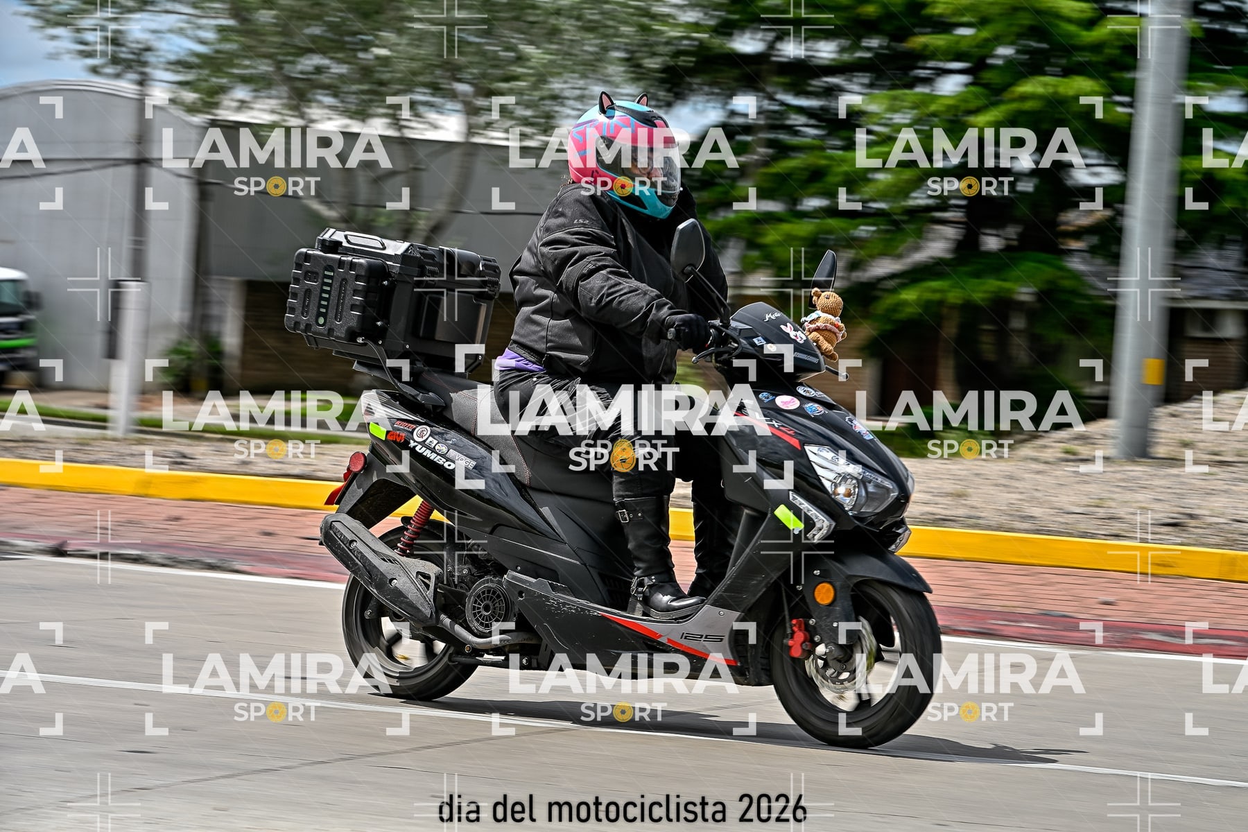 rotonda disa — BCD5691