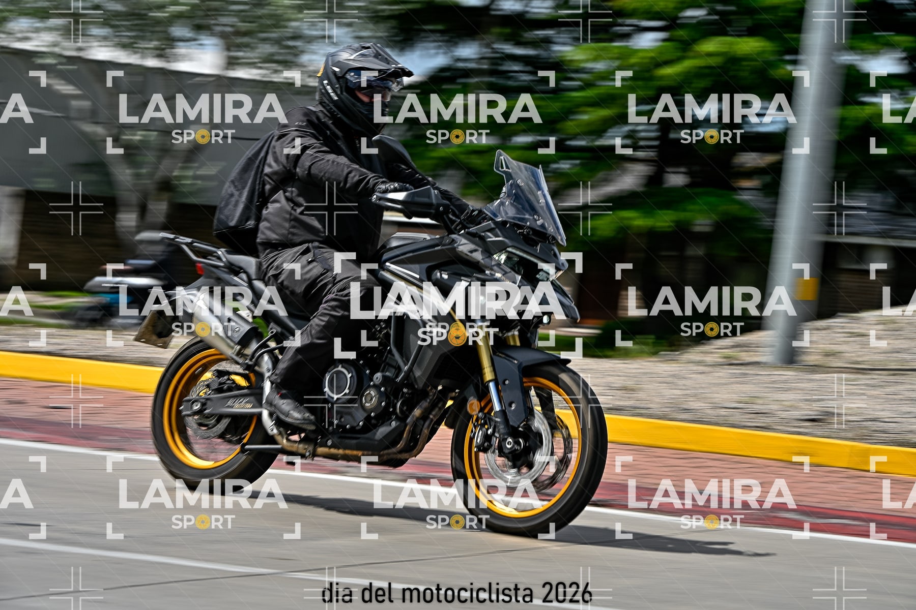 rotonda disa — BCD6794