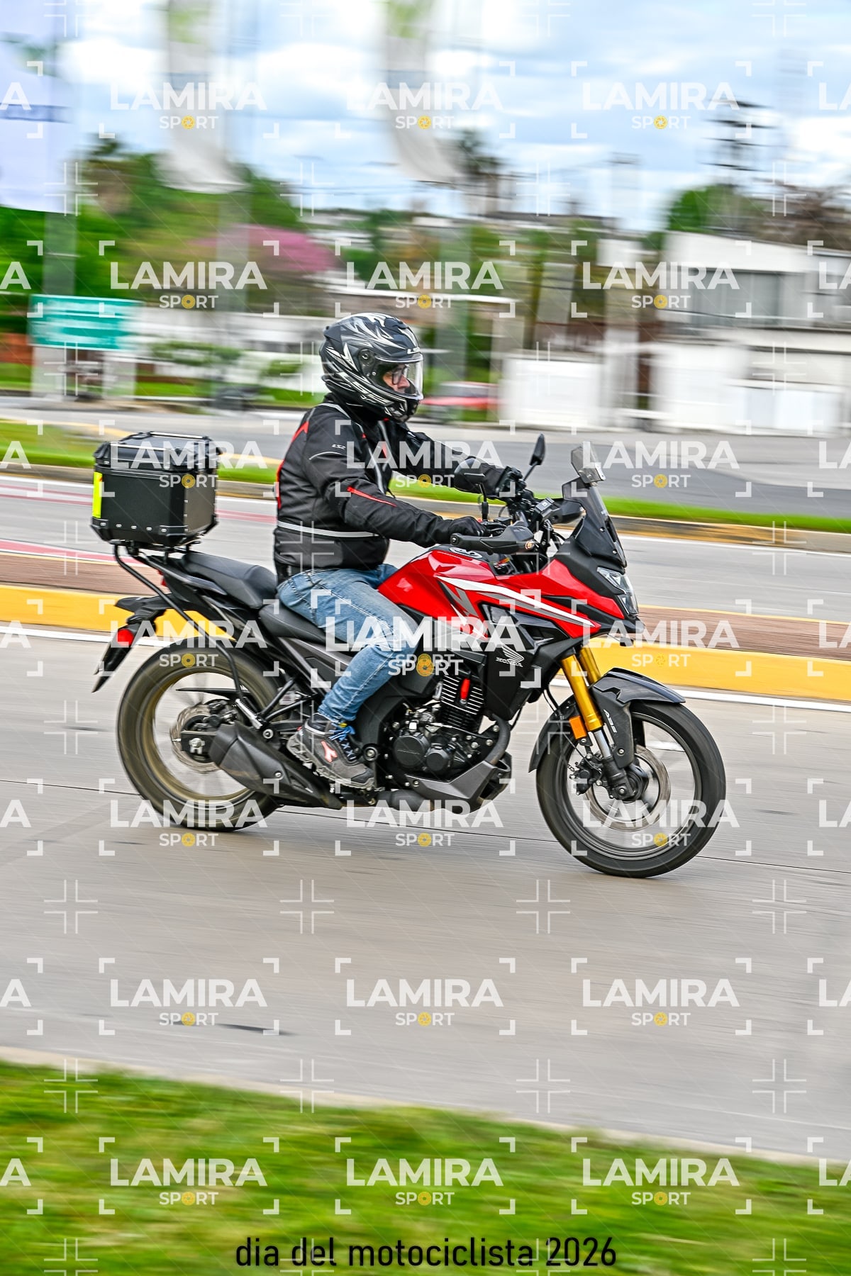 rotonda disa — BCD8660