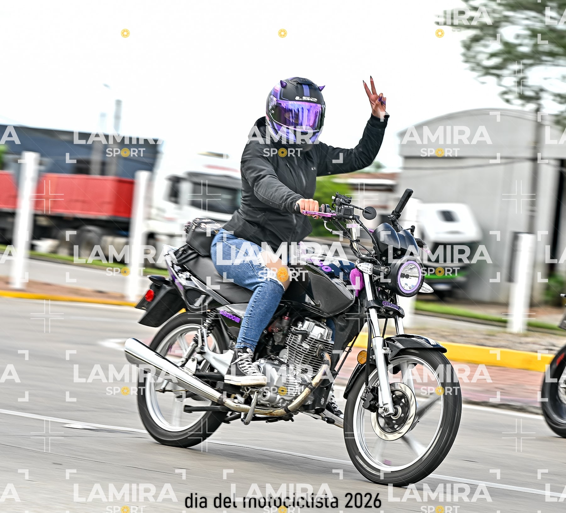 rotonda disa — BCD7202