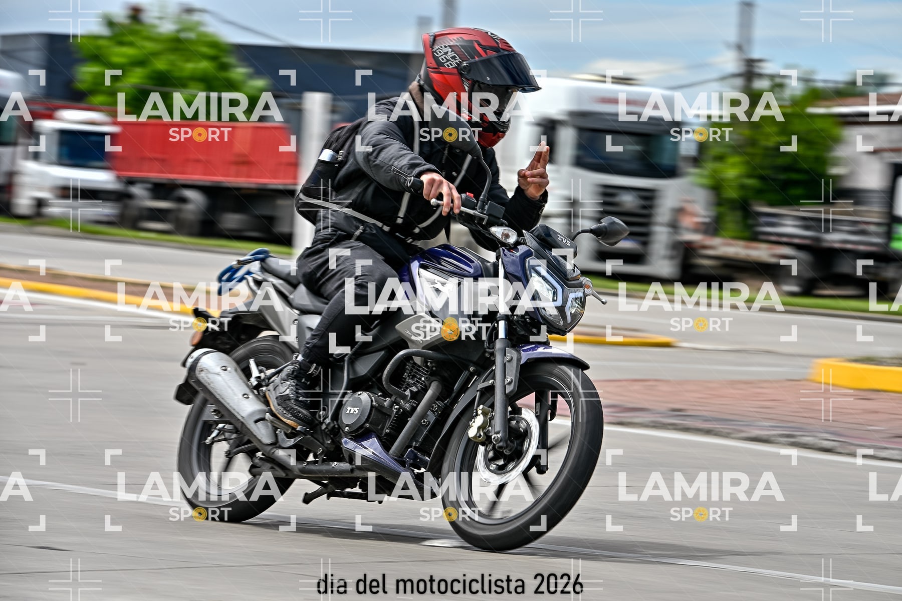 rotonda disa — BCD5808