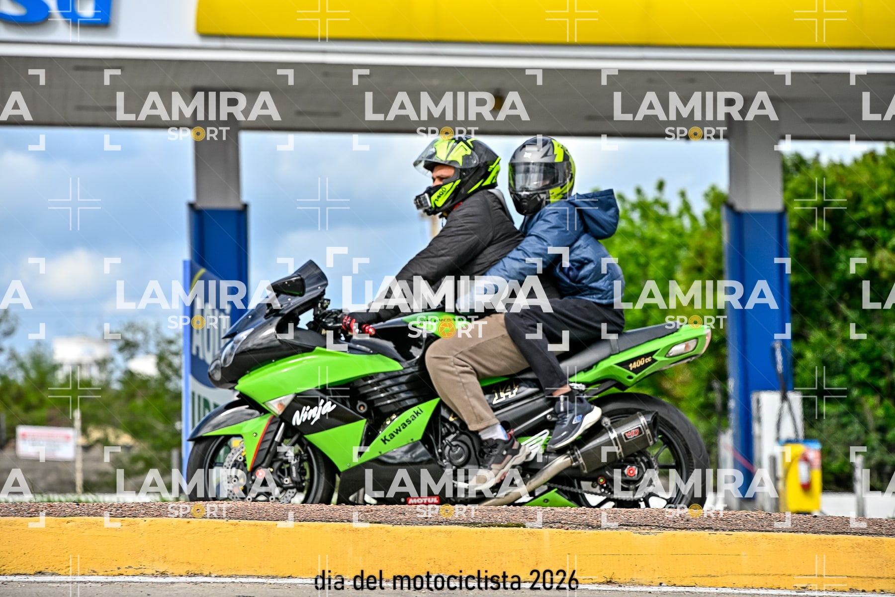 rotonda disa — BCD8013