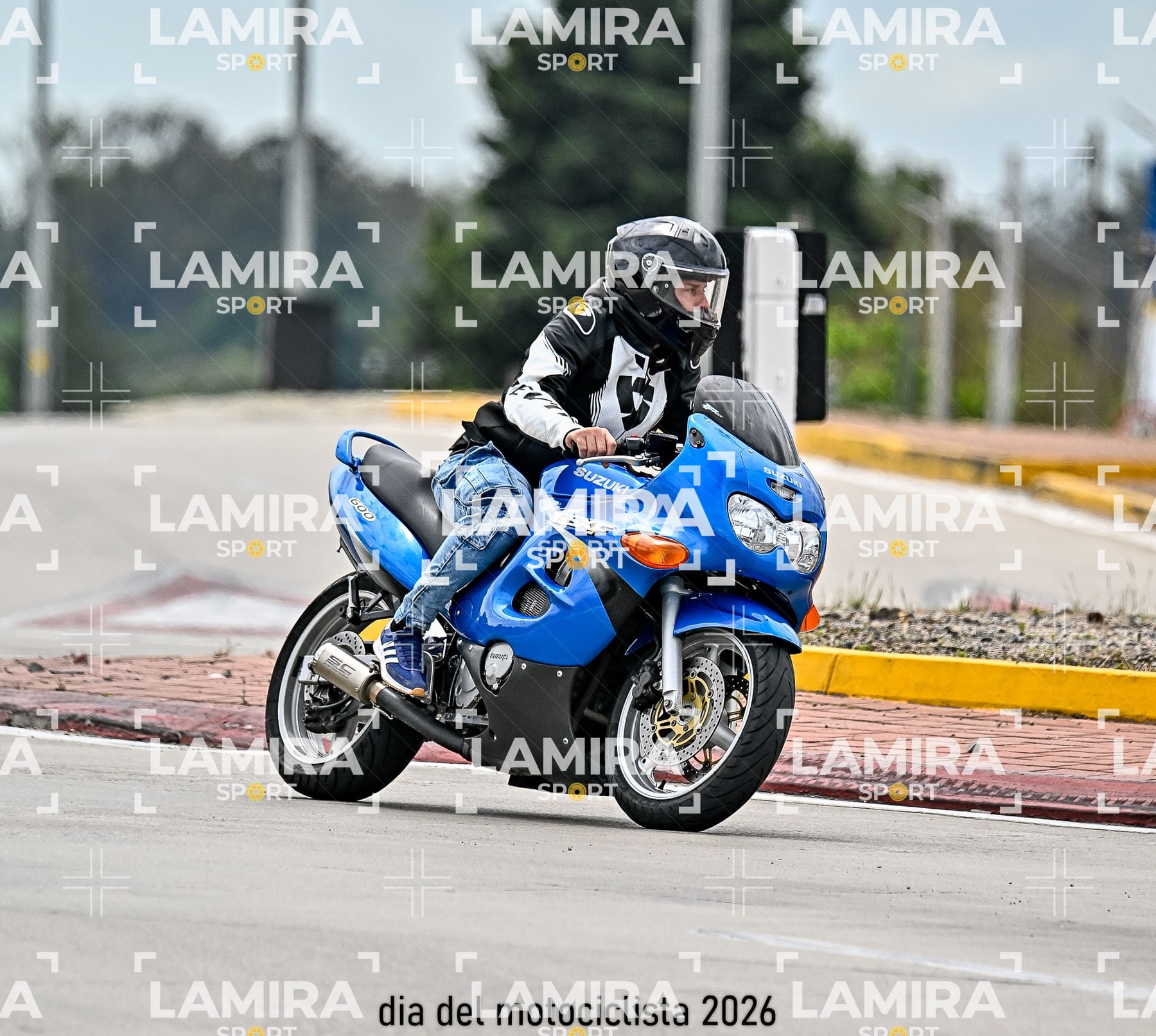 rotonda disa — BCD4789