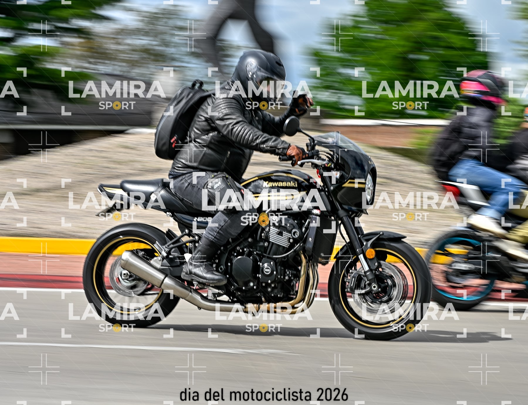 rotonda disa — BCD7379