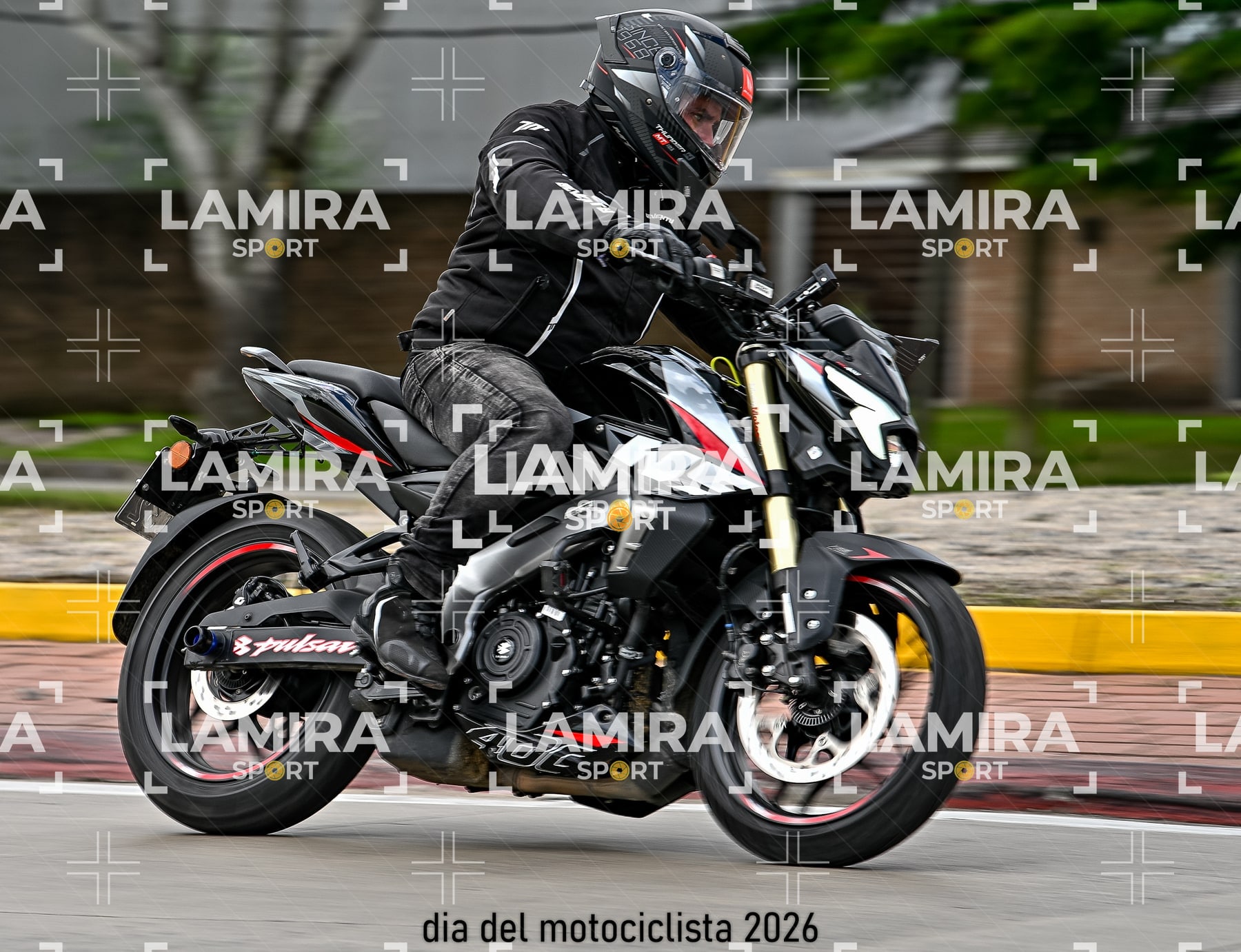 rotonda disa — BCD5478