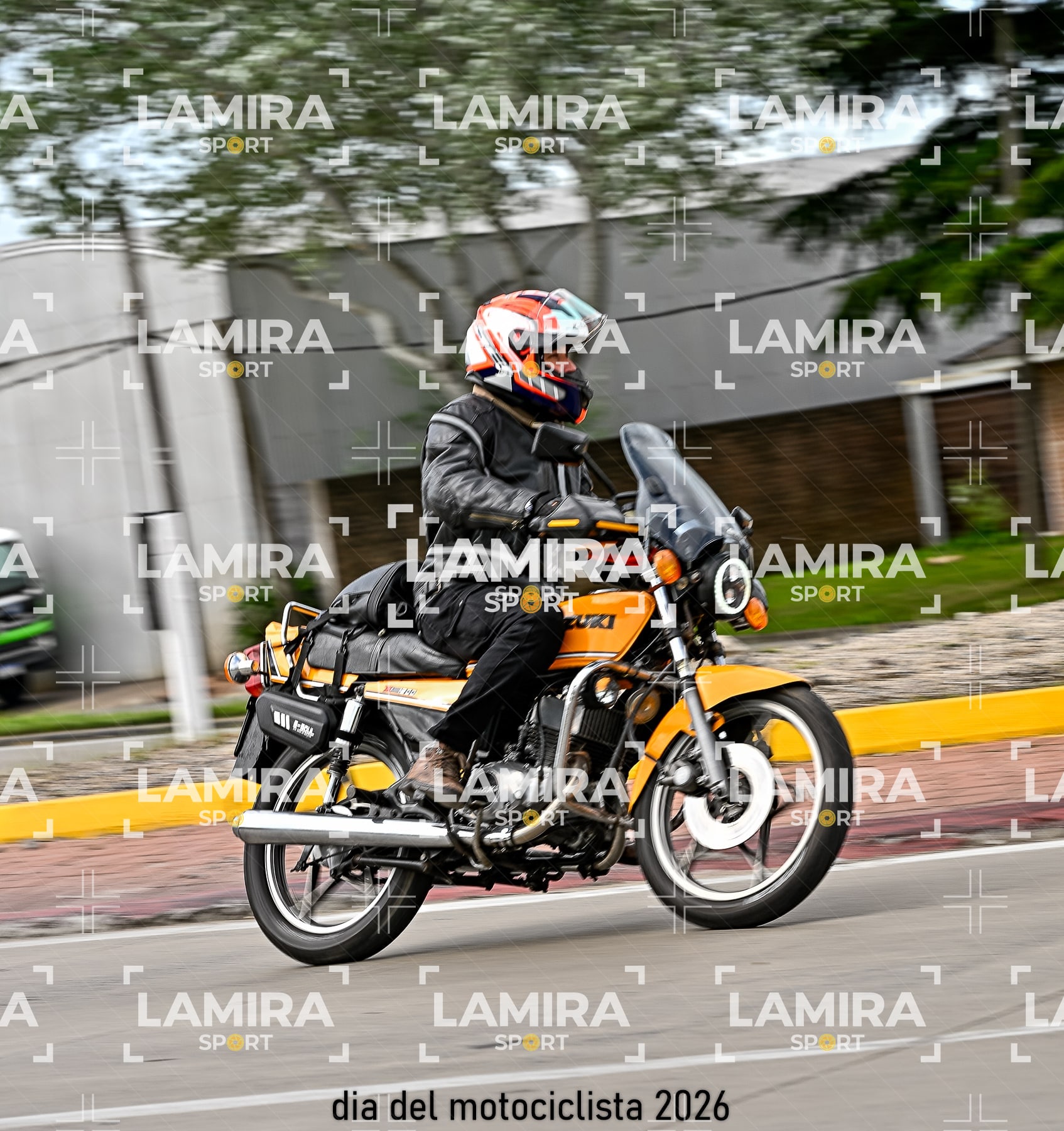 rotonda disa — BCD7709