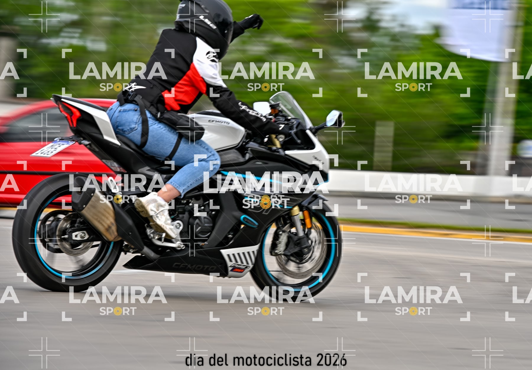 rotonda disa — BCD8396
