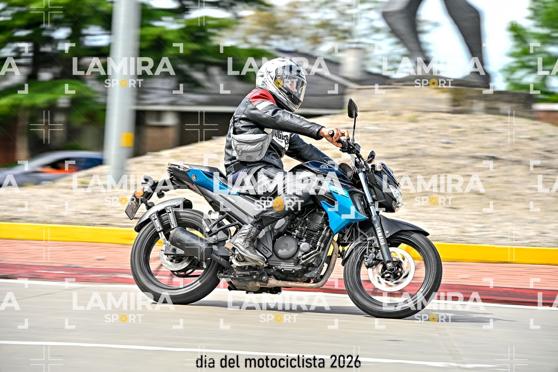 rotonda disa — BCD7187