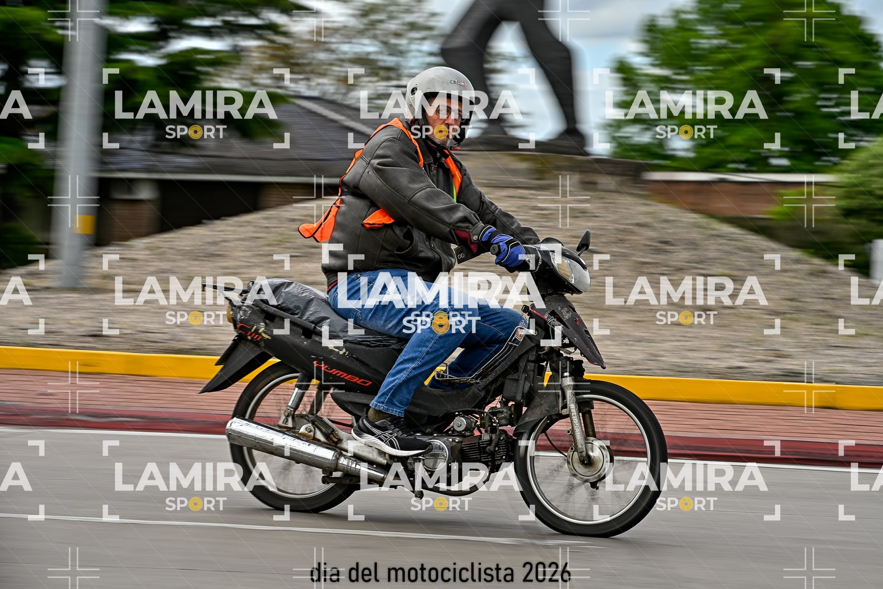 rotonda disa — BCD5352