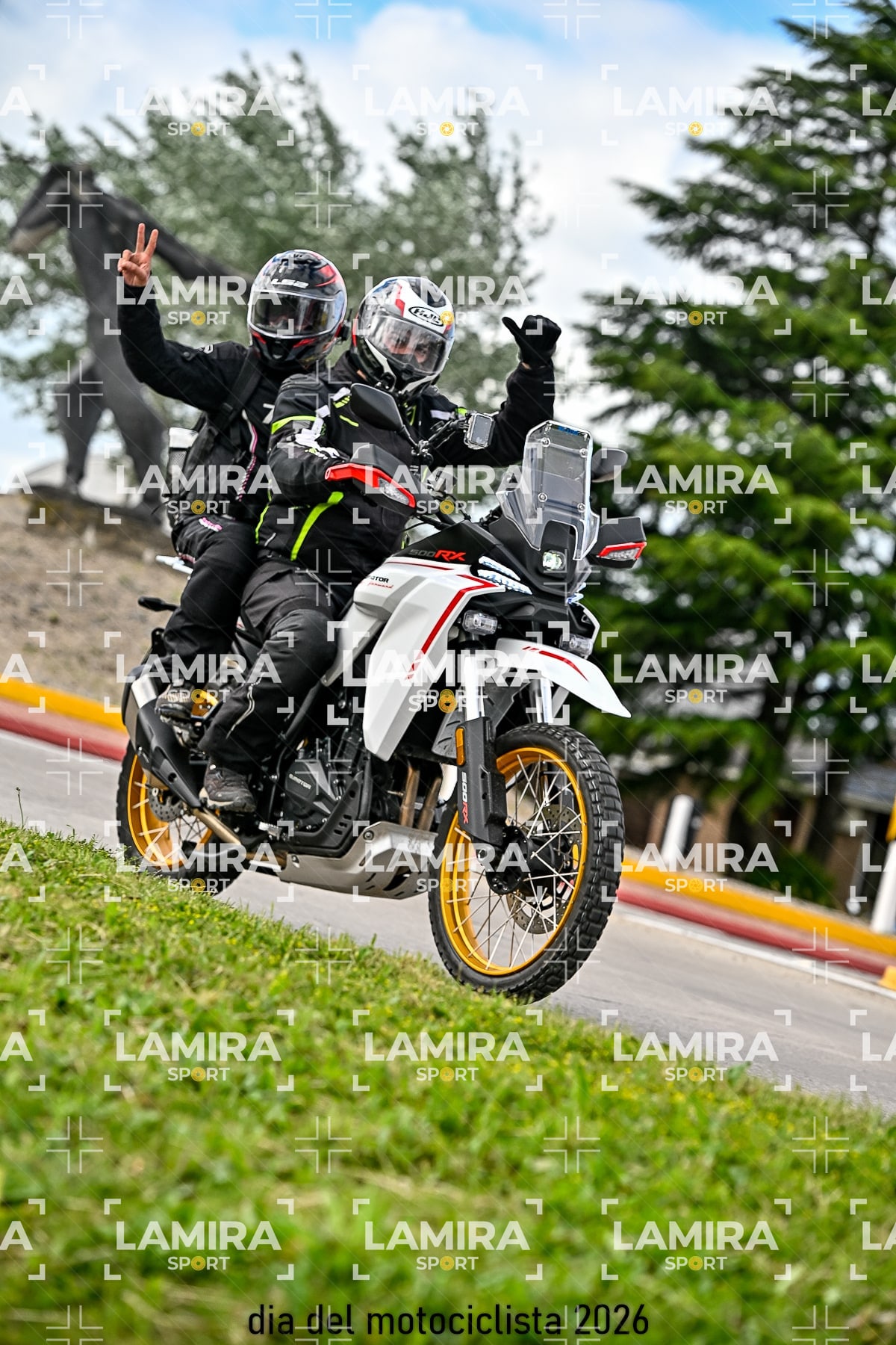 rotonda disa — BCD8221