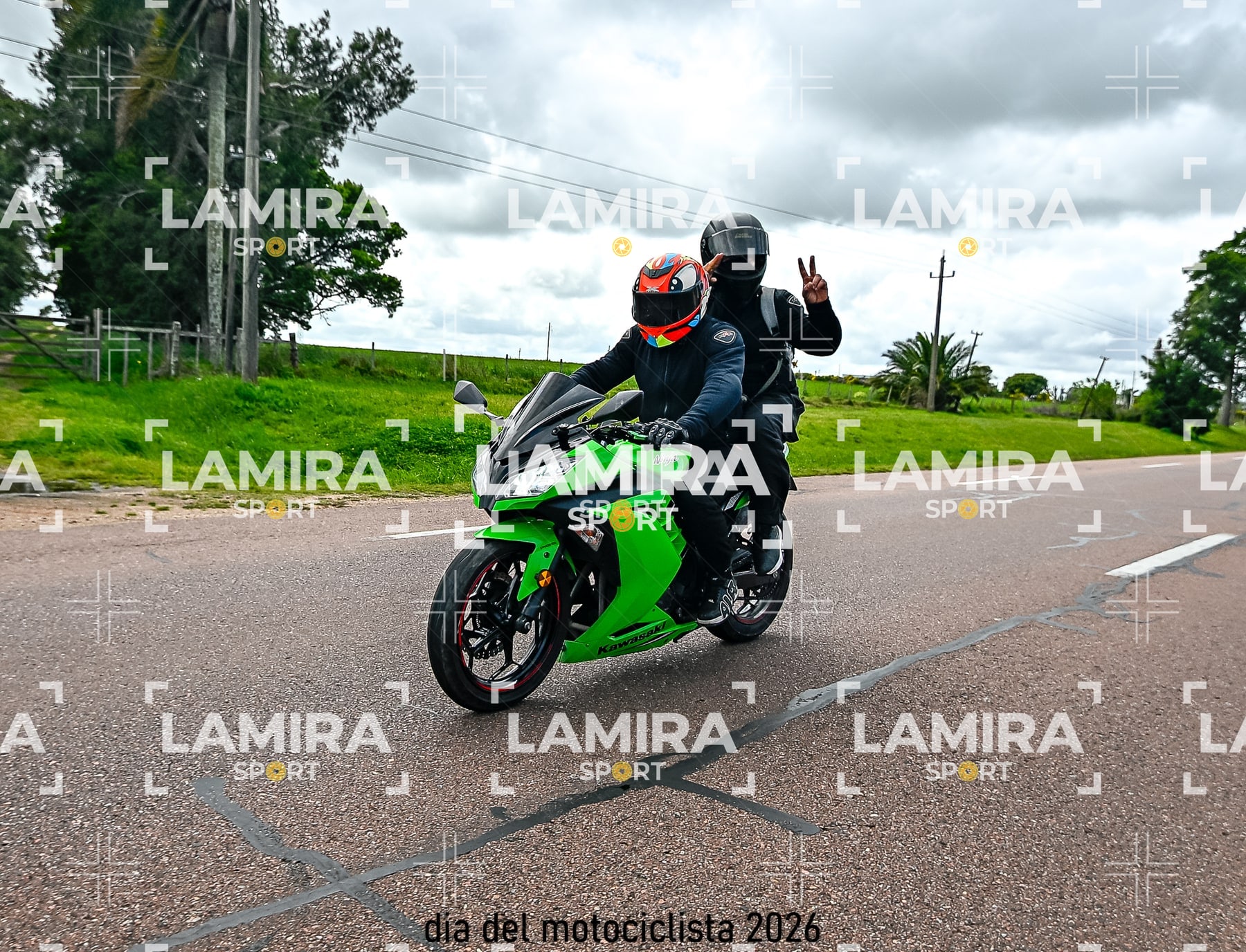 rotonda disa — BCD2489