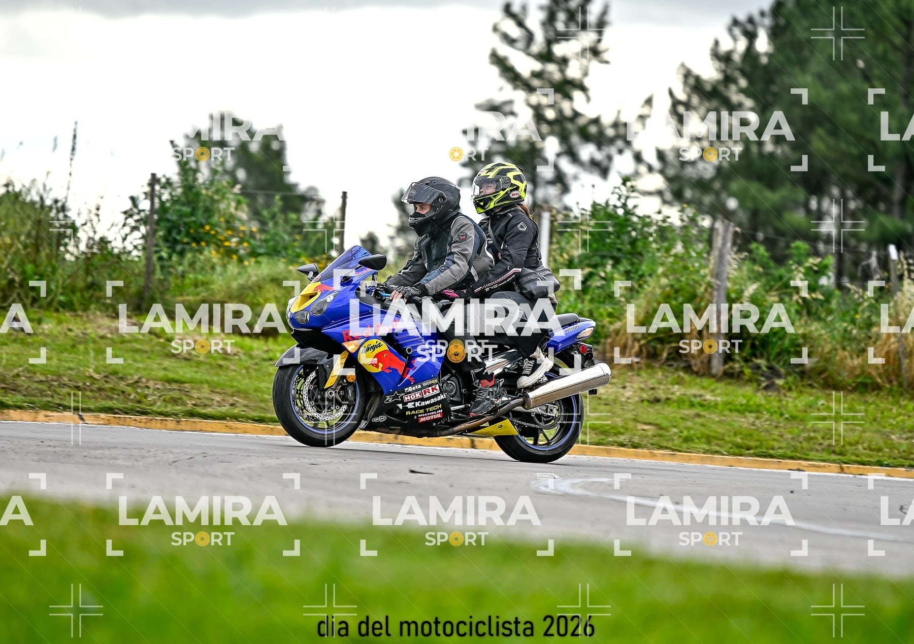 rotonda disa — BCD8704