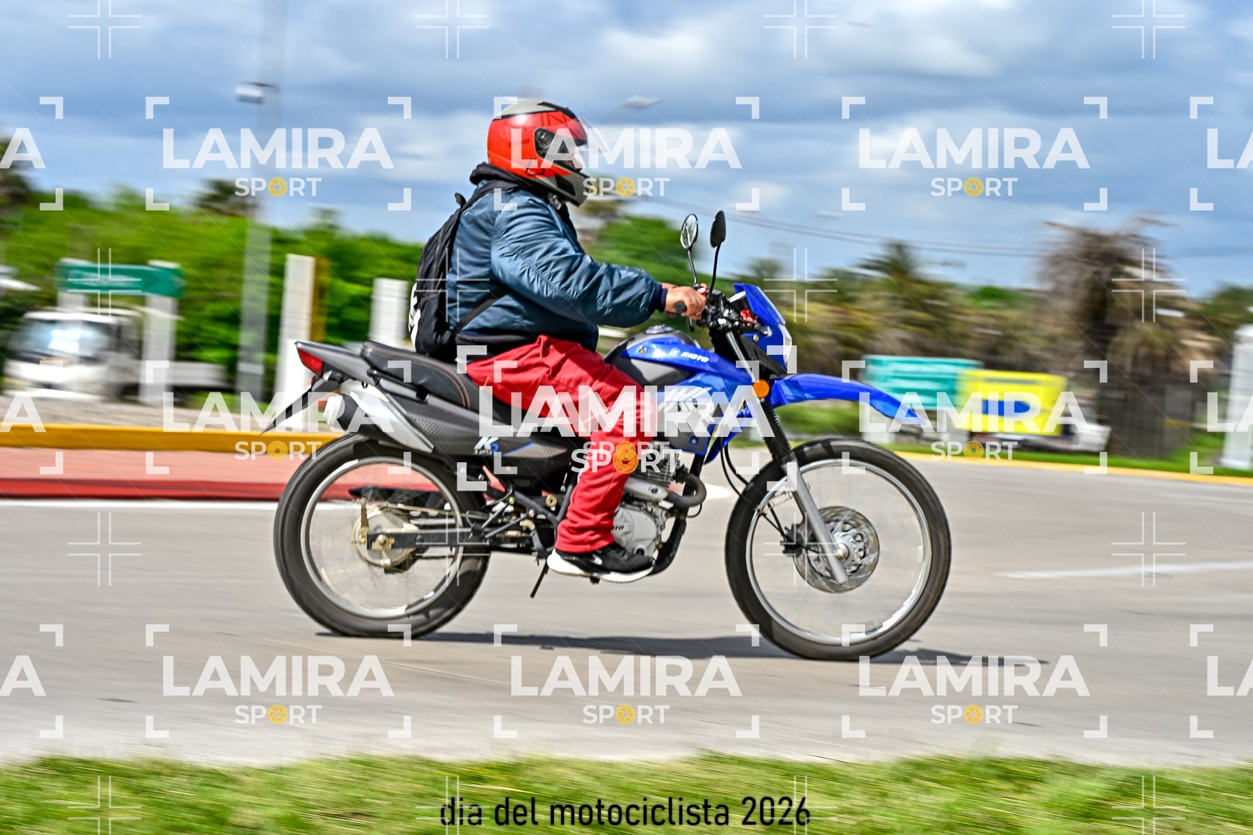 rotonda disa — BCD6987