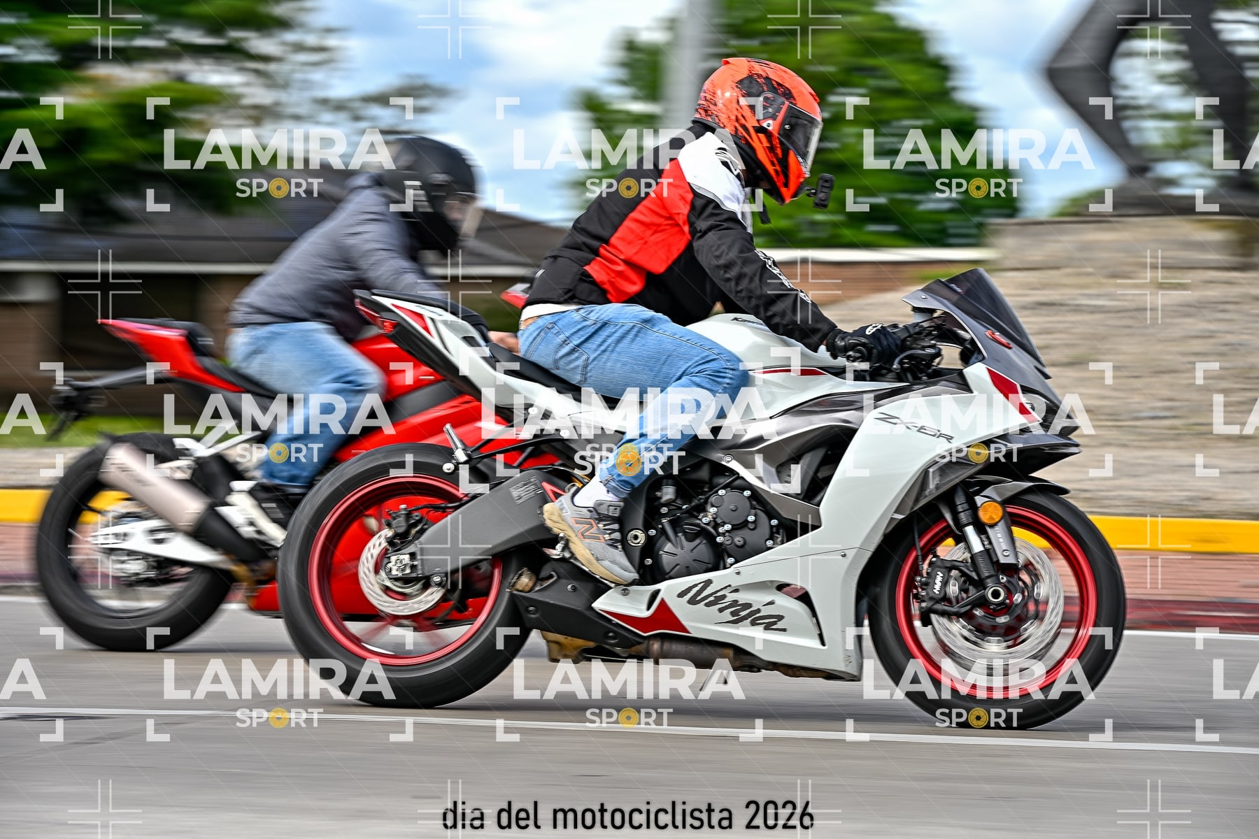 rotonda disa — BCD8280
