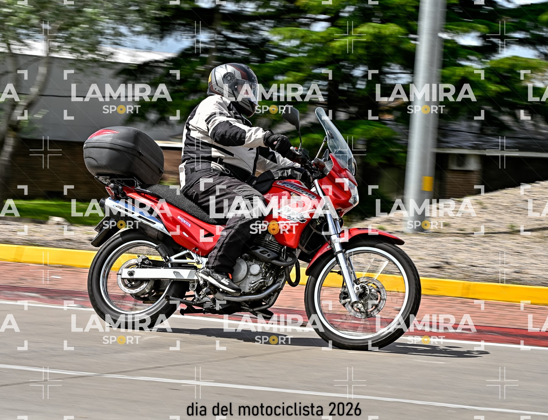 rotonda disa — BCD6950