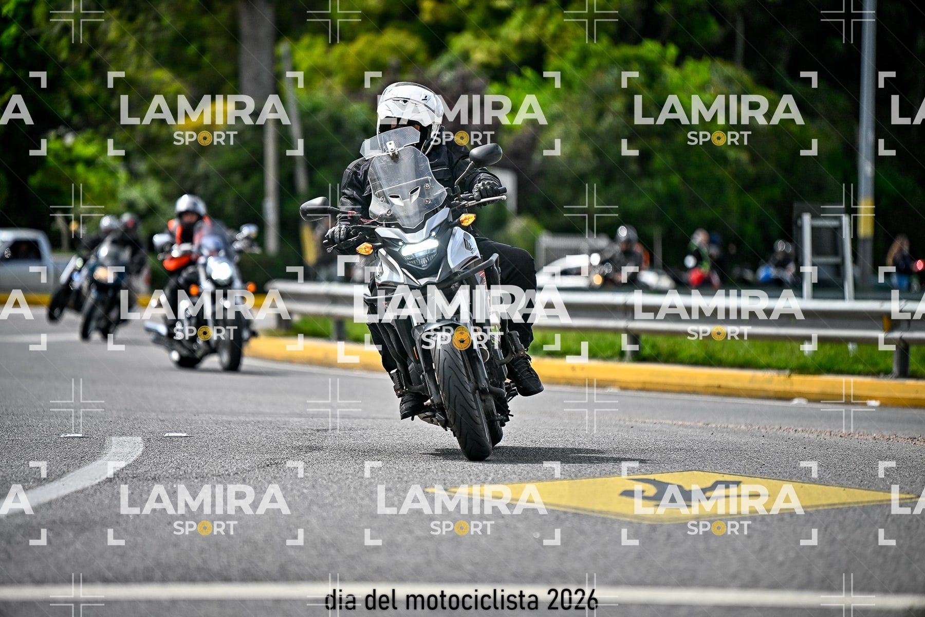 rotonda disa — BCD2057