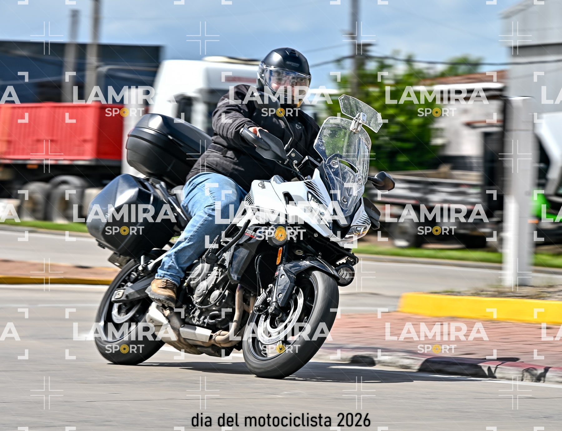 rotonda disa — BCD6936