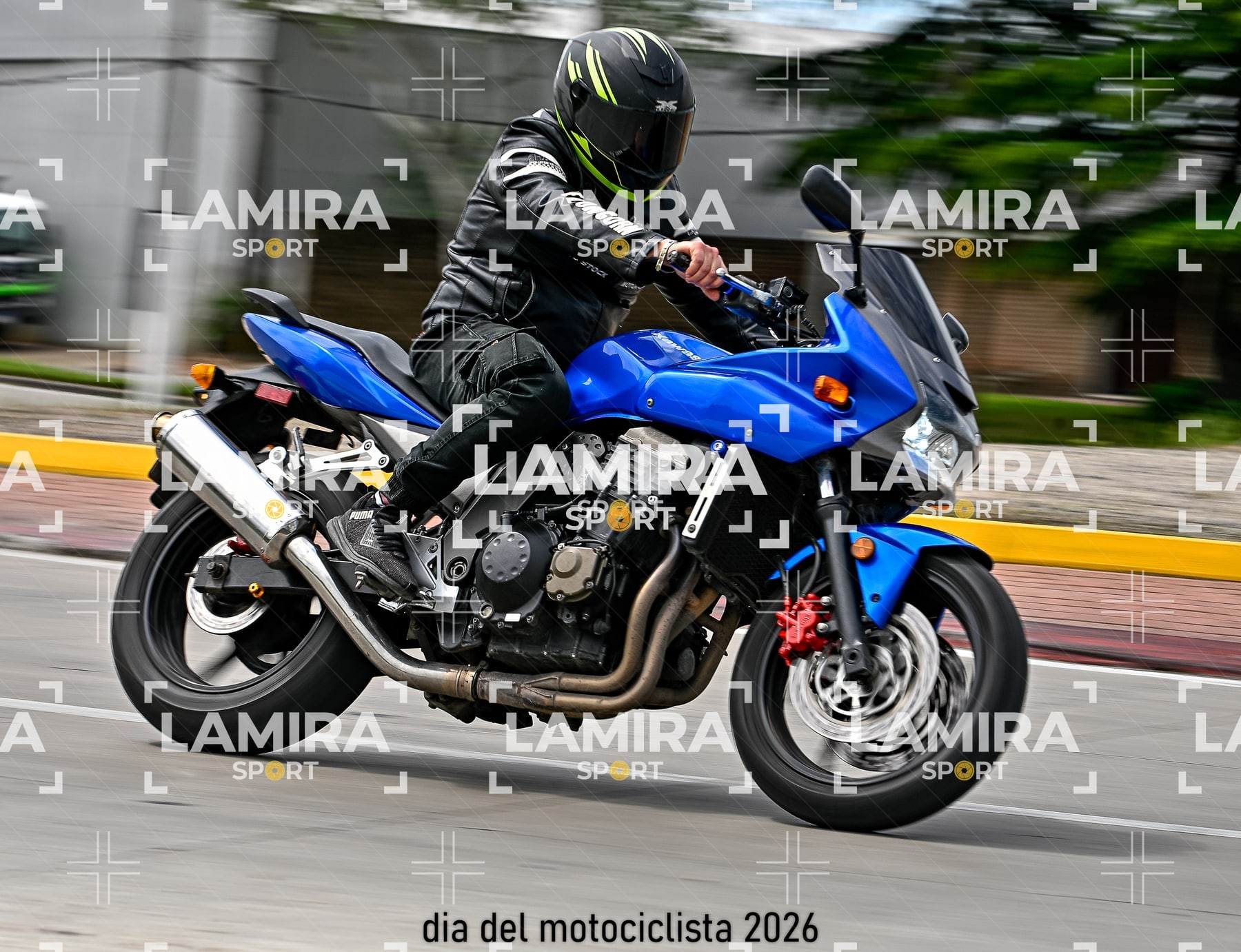 rotonda disa — BCD5781
