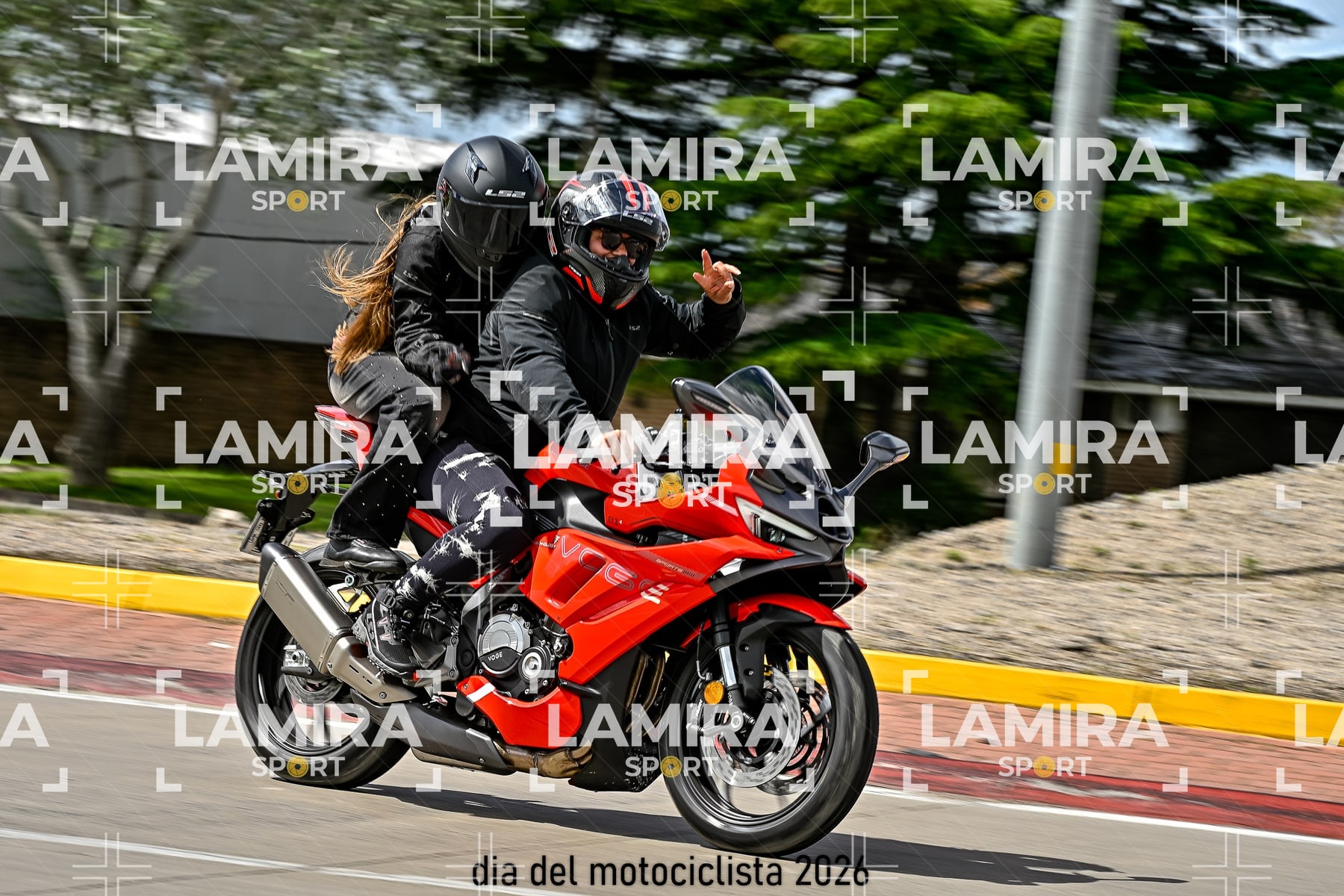 rotonda disa — BCD6985