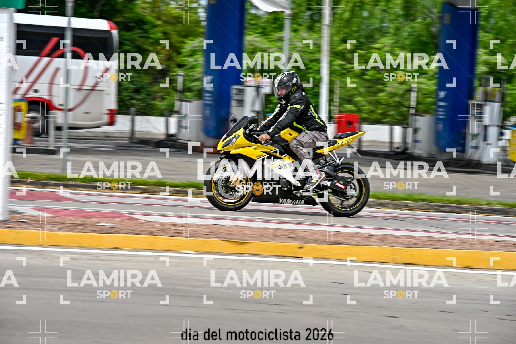 rotonda disa — BCD5832