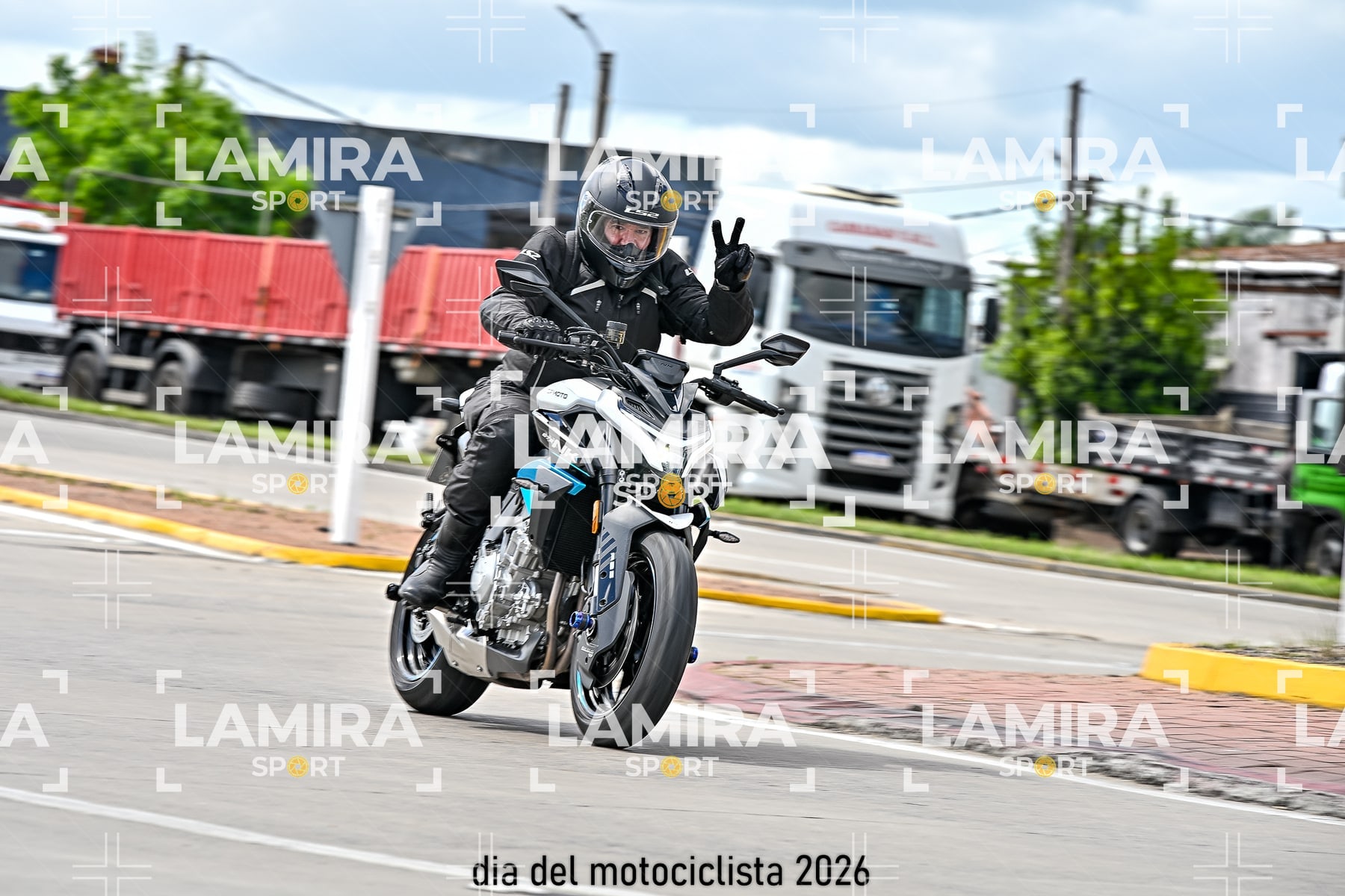 rotonda disa — BCD6614
