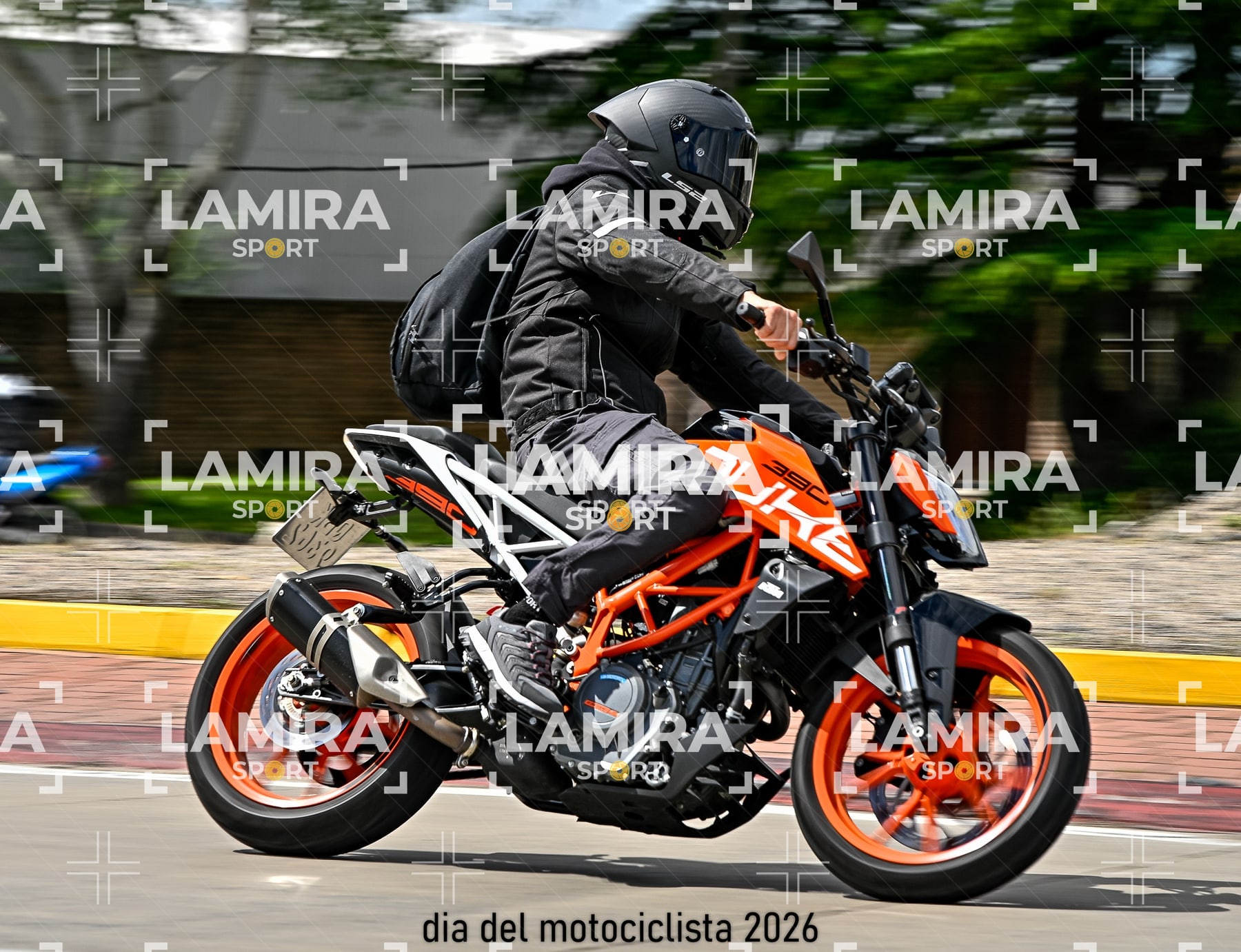 rotonda disa — BCD6691