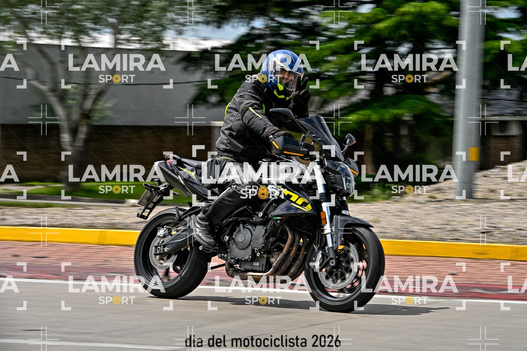 rotonda disa — BCD5688