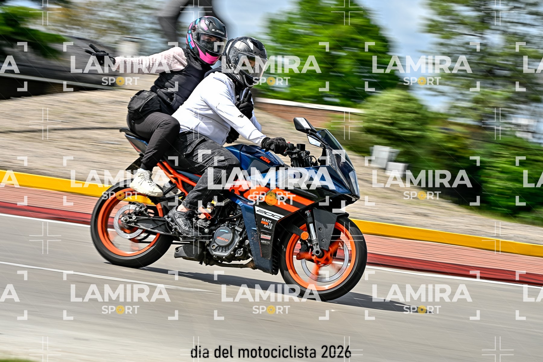 rotonda disa — BCD6999