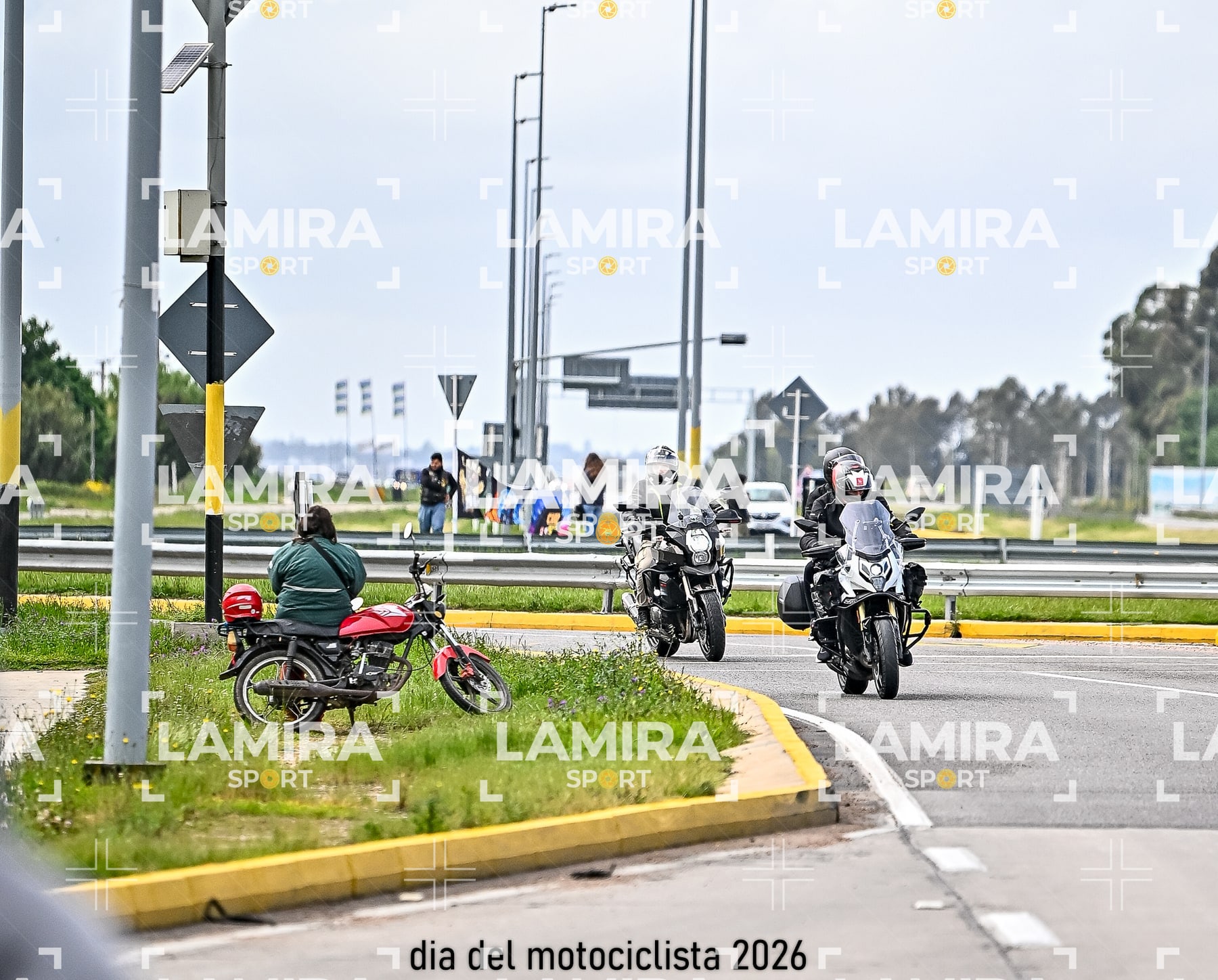 rotonda disa — BCD0942