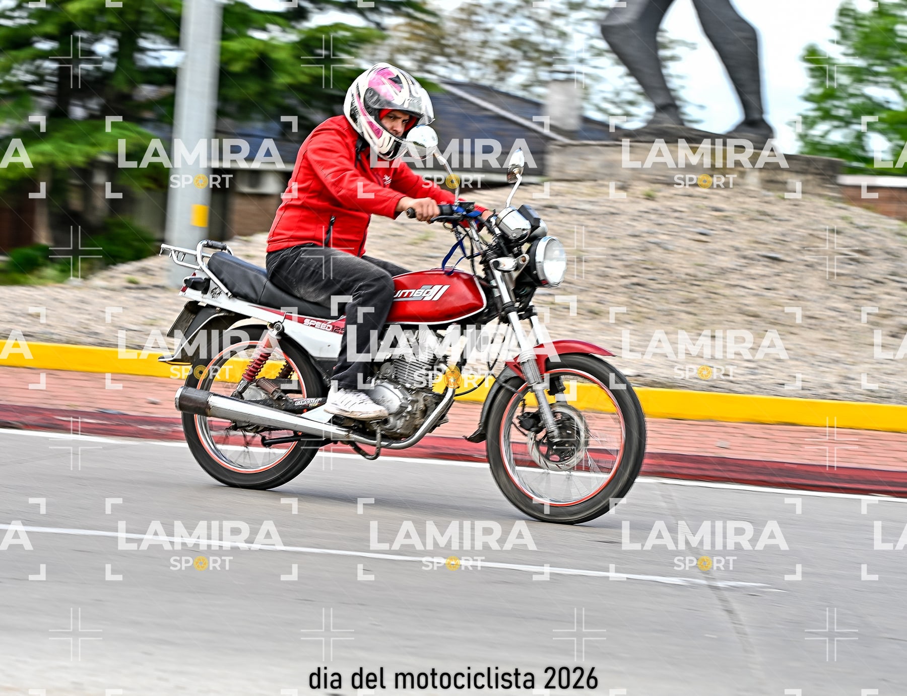 rotonda disa — BCD7226