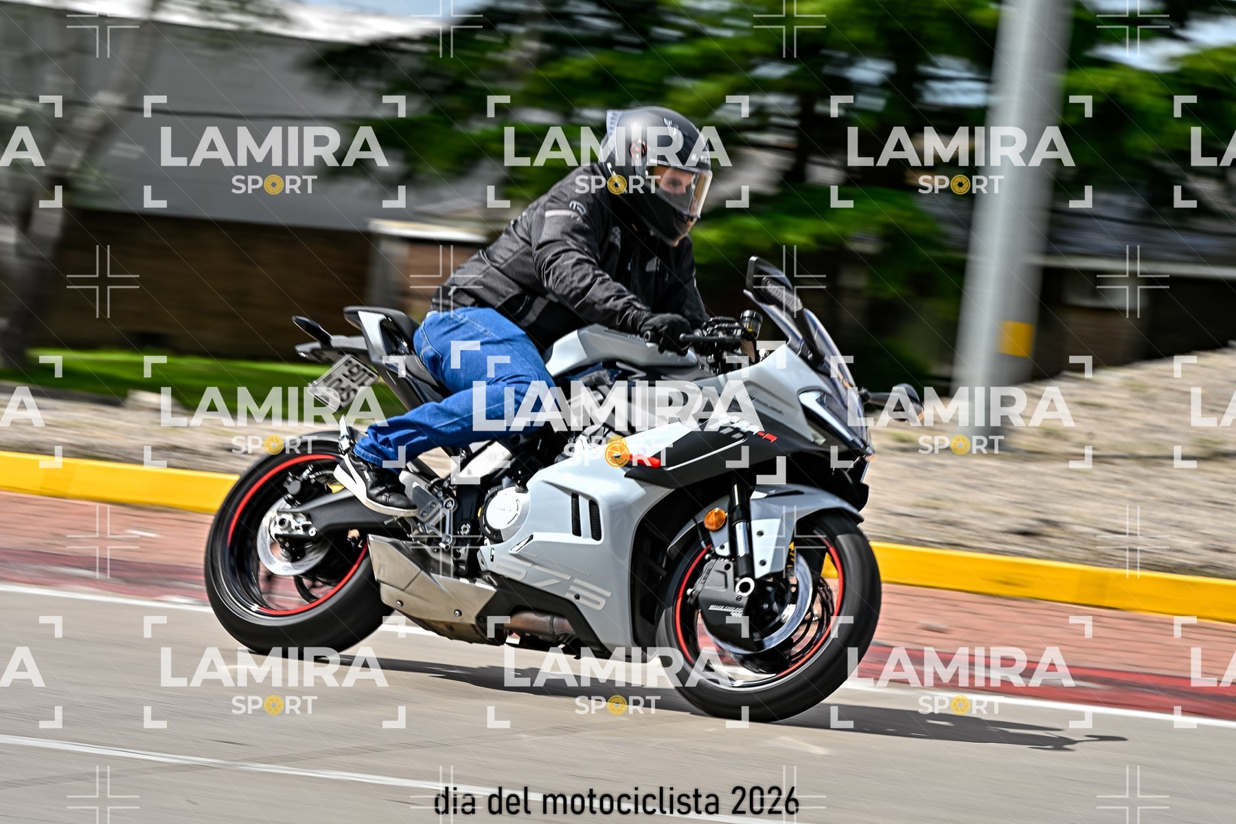 rotonda disa — BCD6770