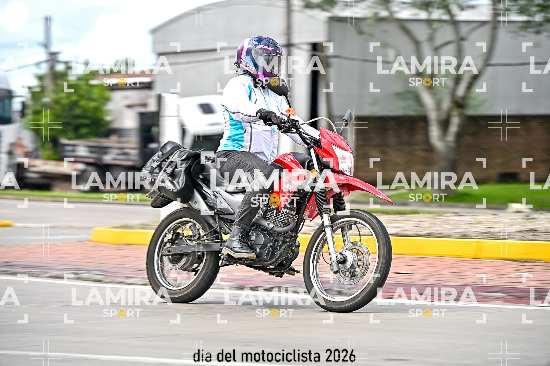 rotonda disa — BCD7248