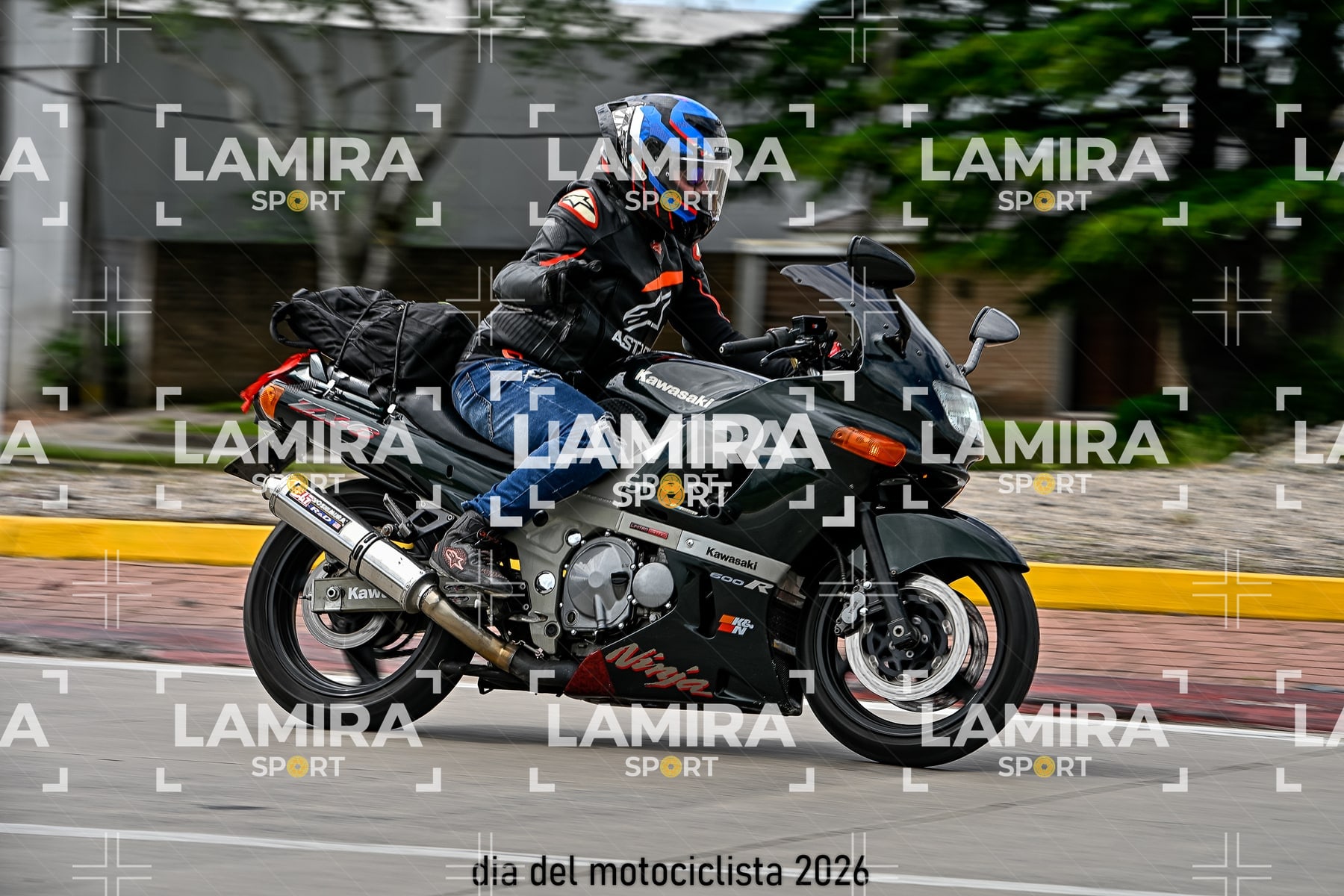 rotonda disa — BCD5901